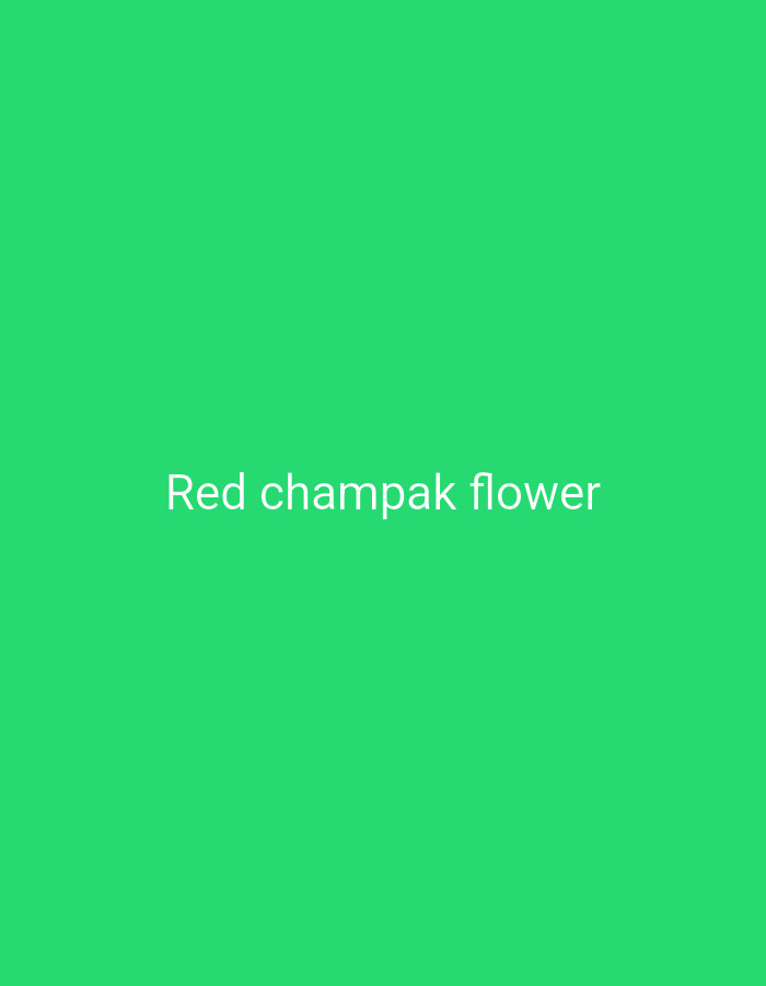 The image is a green background with the text "Red champak flower" centered. There are no people, subjects, objects, actions, or interactions depicted. The environment is a plain green surface. The location of Cilegon, Indonesia, is not relevant to the image content.