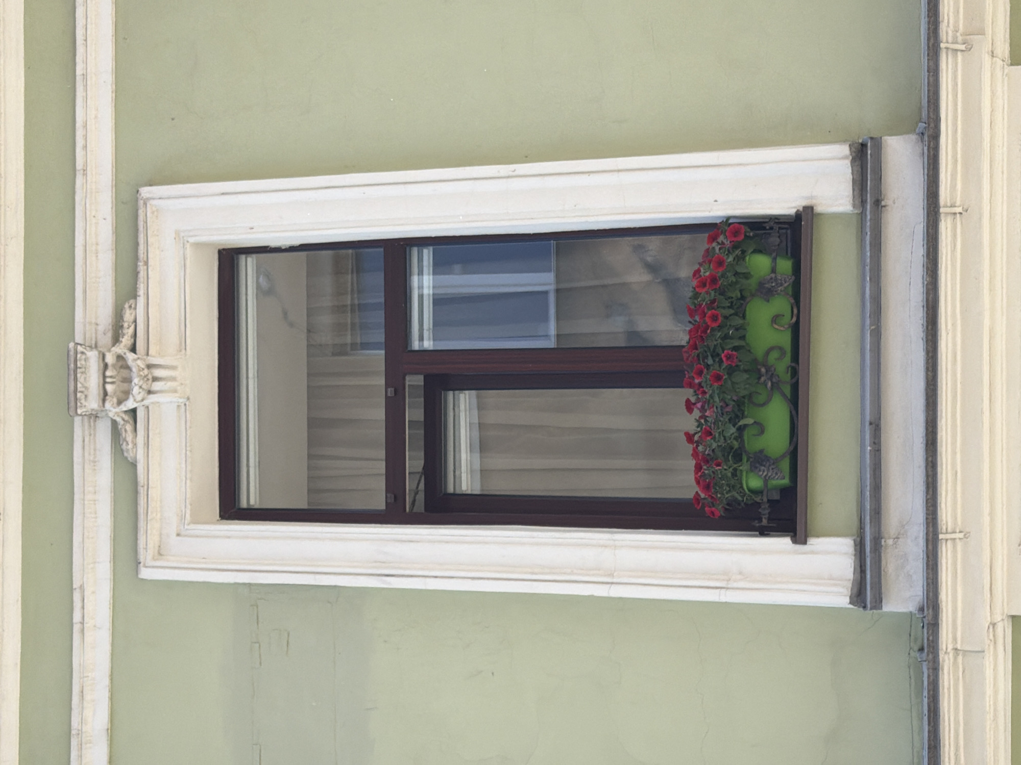 This media file captures a close-up detail of a building facade, rotated 90 degrees clockwise from its natural orientation. The primary subject is a rectangular window with a dark brown frame, featuring multiple glass panes that reflect interior blinds or curtains and possibly the sky or adjacent buildings.
The window is set into a wall painted a pale, light green color. It is framed by a prominent, ornate decorative surround, rendered in white or off-white. This elaborate frame includes sculpted details, such as a decorative frieze above the window and ornamental corbels or brackets on the left side. To the left and right of the window, parts of fluted or grooved pilasters, also in off-white, are visible, indicating a larger classical architectural treatment of the building's exterior.
A vibrant green flower box, adorned with dark, ornate metalwork, is attached to the bottom right section of the window (when viewed in its original upright orientation). The box is overflowing with numerous bright red flowers, likely petunias, and lush green foliage, adding a splash of color to the otherwise subdued palette of the facade.
The scene depicts a daytime setting, suggested by the clear natural light. The architectural style, characterized by its ornate classical elements, is typical of historic European cities, consistent with the location context of Saint Petersburg, Russia. The facade shows minor signs of weathering and age, contributing to its authentic character. There is no visible text in the image.