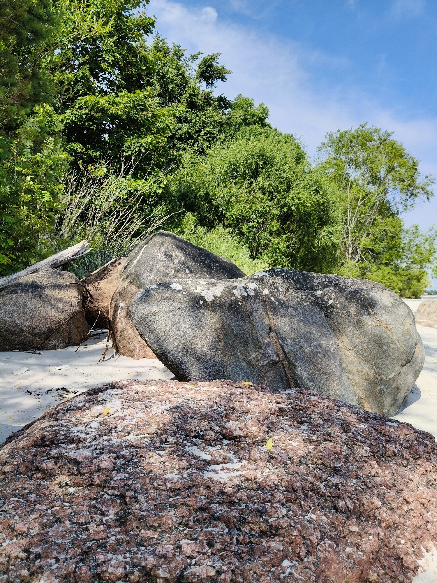 In Bigauņciems, Latvia, on a sandy beach, several large boulders are scattered. The foreground is dominated by a rough, reddish-brown boulder, textured with visible mineral deposits. Behind it, two much larger, smoother gray boulders are nestled in the sand. One of these gray boulders is cracked and shows striations. A weathered piece of driftwood lies horizontally across the sand and the base of the boulders on the left. The background is filled with dense, green foliage, including trees and shrubs, under a bright blue sky with sparse white clouds. The sunlight casts shadows from the boulders and vegetation onto the sand.