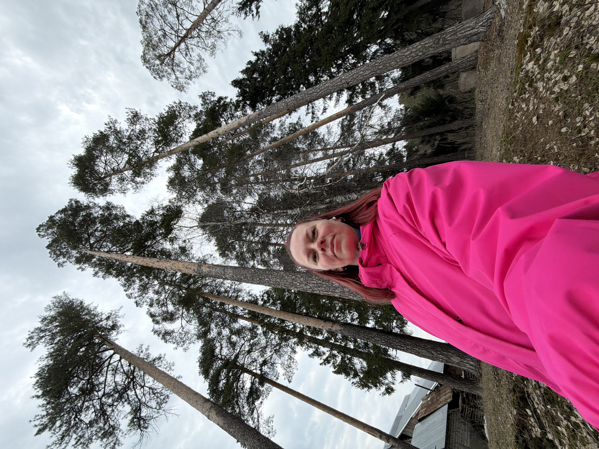 A selfie of a woman with fair skin, wearing a pink jacket, taken outdoors on a cloudy day. Tall pine trees with dark green foliage and bare trunks dominate the background, filling much of the frame. The ground appears to be covered in dead leaves and foliage, suggesting an autumnal or early spring setting. The woman is positioned on the right side of the frame, with a slight smile, and her face angled towards the camera. At the bottom right of the image, a part of a building is seen. The location is in Chaikovsky, Russia.