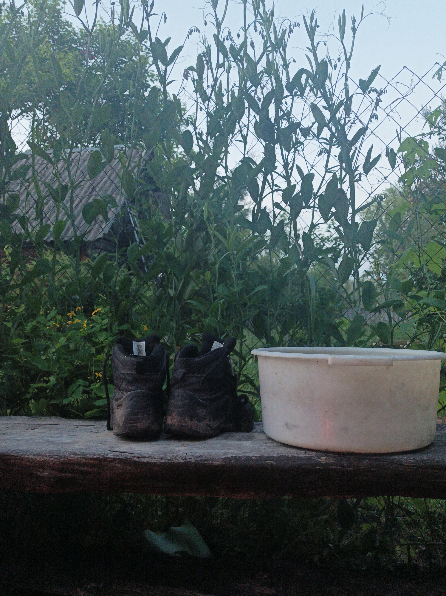 A pair of black, muddy work boots are placed on a weathered wooden bench. To the right of the boots, a large, white plastic tub sits on the bench. Behind the bench, a dense green foliage of plants and vines grows against a wire fence. In the background, a rustic building with a grey, corrugated roof is partially visible. The scene appears to be in a rural outdoor setting, possibly a backyard or garden area. The lighting suggests it is either early morning or late evening.