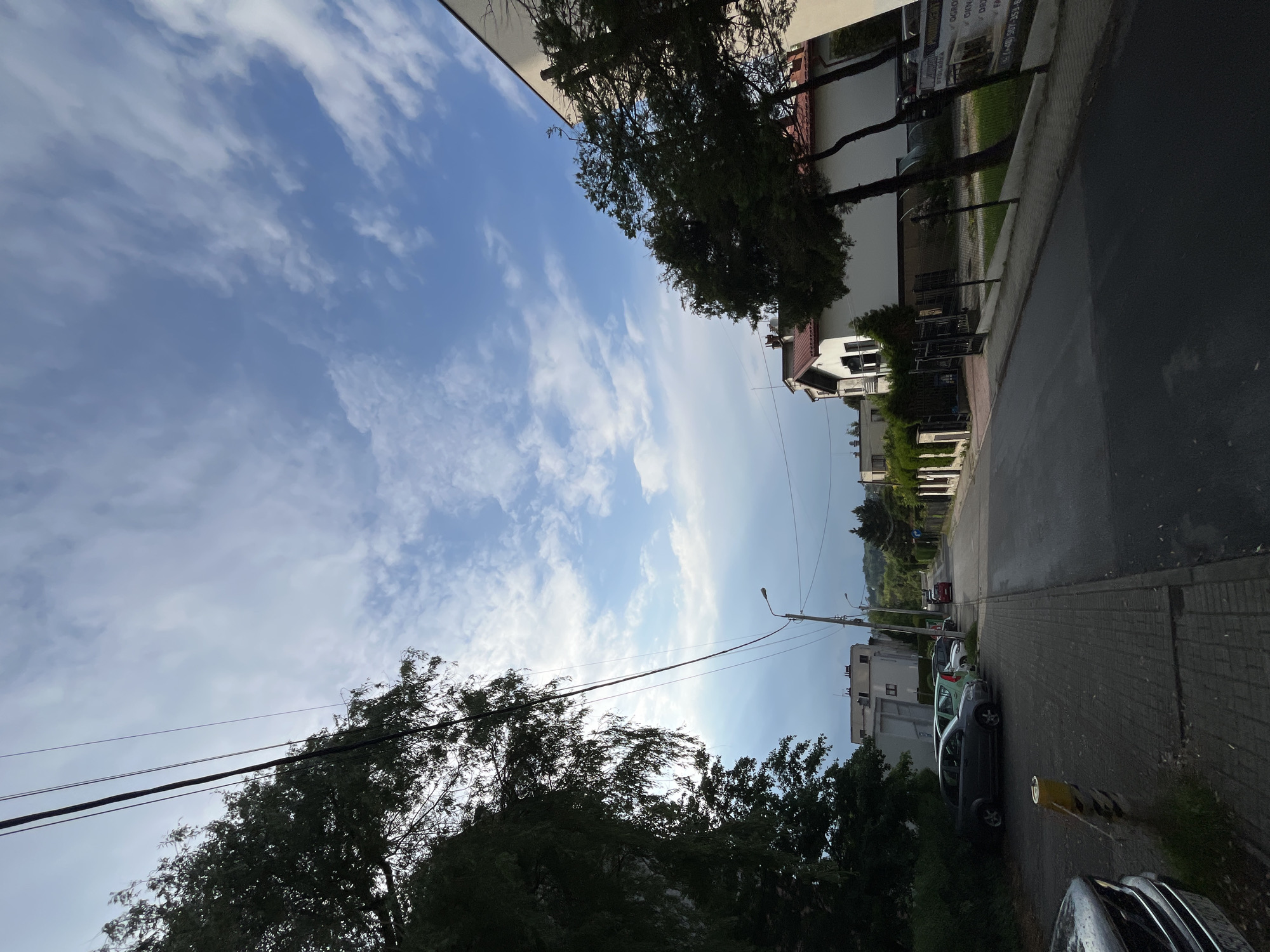 The image depicts a daytime outdoor scene looking down a residential or commercial street, oriented with the sky at the top and the street at the bottom. The sky is bright blue with scattered white cumulus clouds. Numerous trees with green foliage frame the scene, with a prominent large tree on the left and others lining the street.
Along the street, various buildings are visible, appearing to be houses or multi-story structures, some with reddish-brown tiled roofs. An asphalt road occupies the center, flanked by a paved sidewalk or footpath on the right side. Several cars are parked along the right curb.
Overhead, power lines stretch across the frame, connecting to a lamppost visible on the right. The lighting suggests it is daytime, possibly late morning or afternoon, with soft shadows.
On a building in the mid-right, a sign with blurred white text on a dark background is partially visible. Recognizable fragments include "OGROD", "DZIAŁ", and what appear to be parts of phone numbers or other words, suggesting a business or service like gardening or land plots. The overall setting appears to be a quiet urban or suburban area.