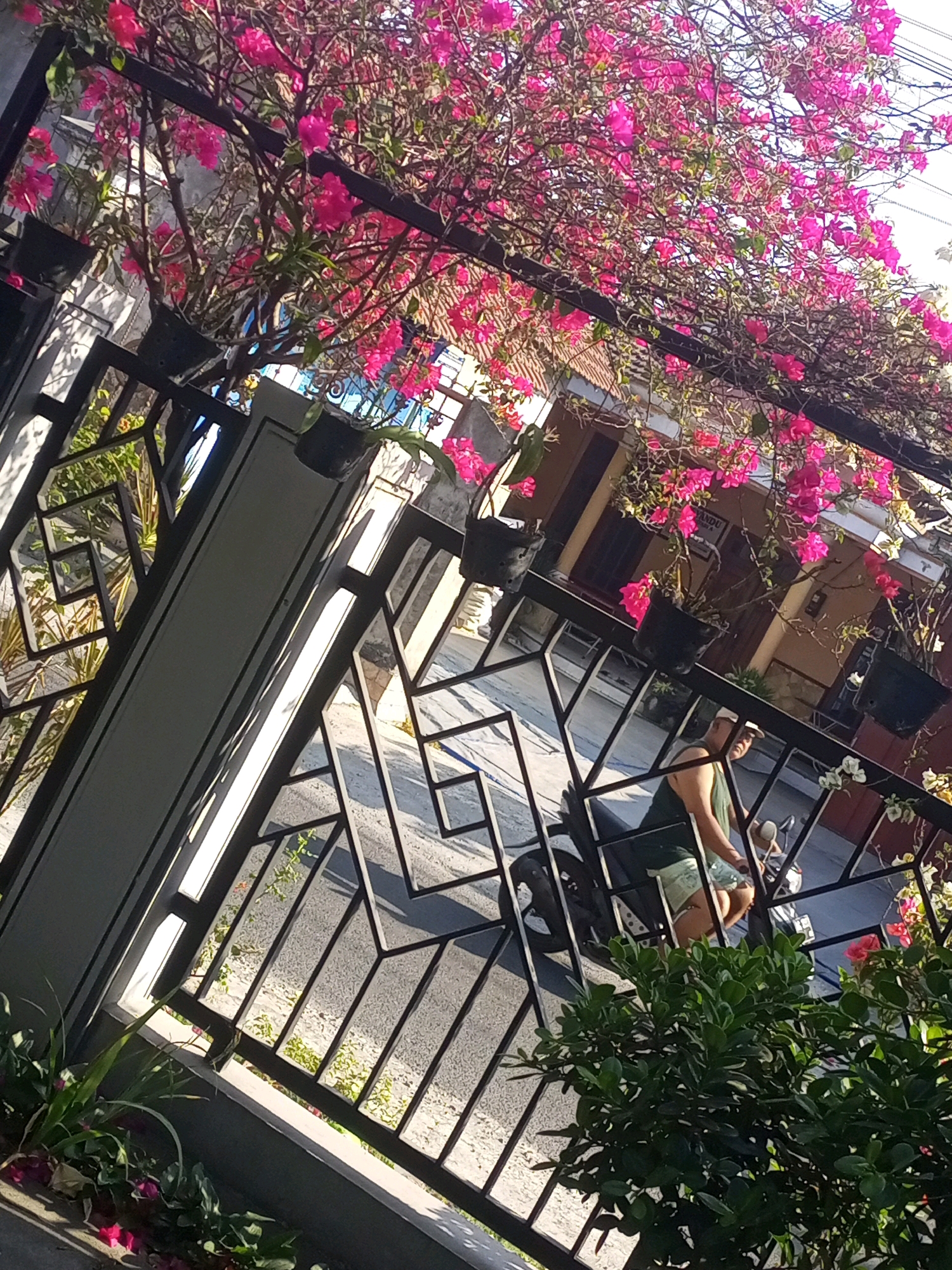 An outdoor daytime shot shows a woman riding a motorcycle through a paved area near a fence. She is facing right, wearing a green tank top and a white cap. The fence is made of black metal bars with geometric patterns and is partially covered by pink bougainvillea flowers. In the background, a house with brown walls and a tiled roof is visible. The scene is located on Jalan Sultan Agung in Ngasem, Indonesia.