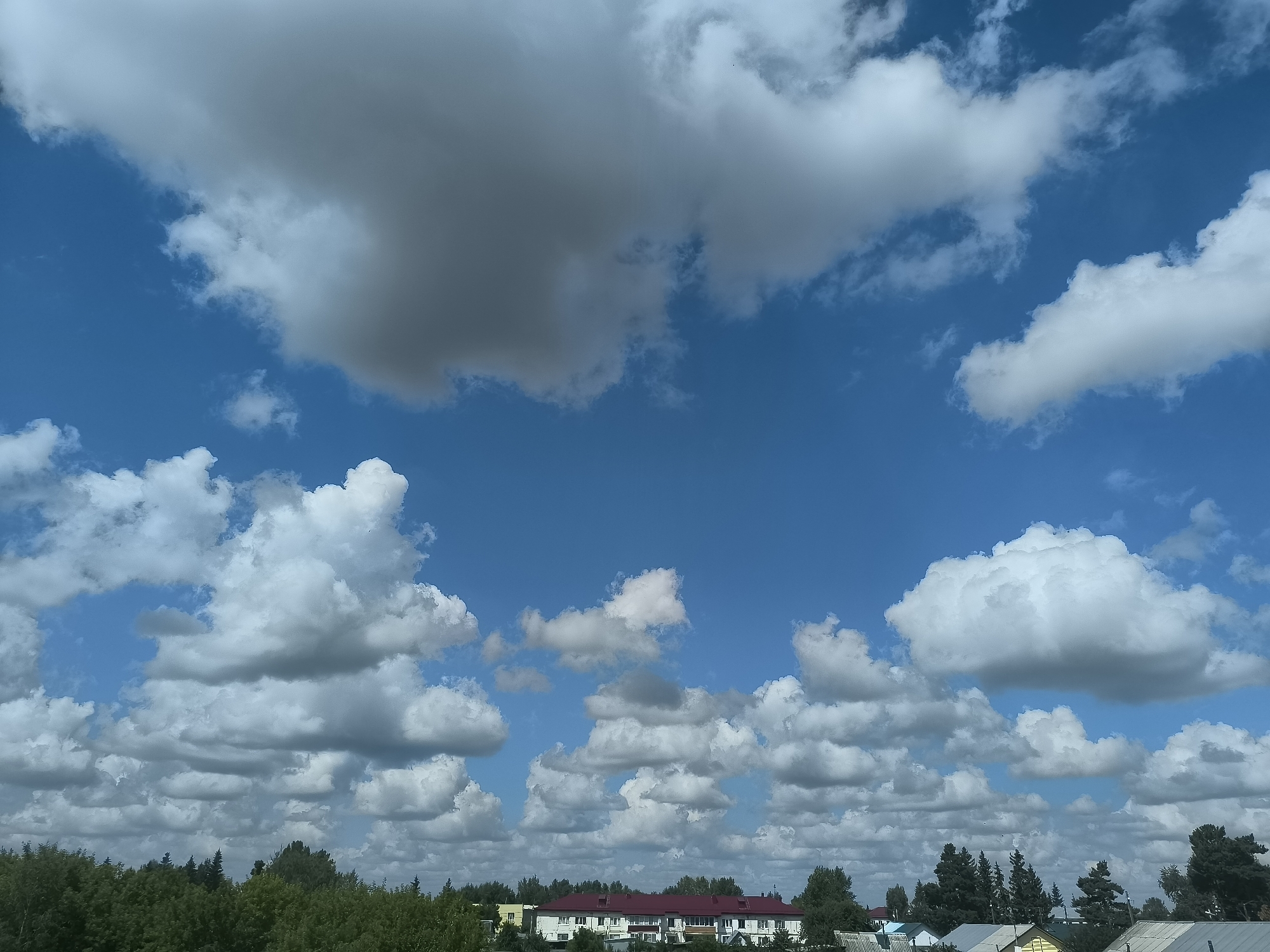 The image depicts a daytime view of the sky above Sargatskoye, Russia, featuring a mix of white and dark clouds against a bright blue sky. Below the sky, a dense line of green trees stretches across the horizon, obscuring much of the ground. Visible above the treeline are the rooftops of several buildings, including a long, white structure with a red roof and smaller houses with metal roofs. The scene is devoid of any visible people or animals, and no specific actions or interactions are evident. The environment appears to be a semi-rural or suburban area, with a focus on natural elements and residential architecture.