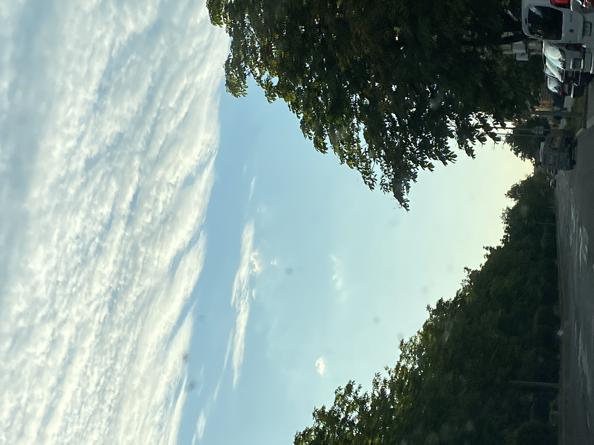 The image depicts a view from inside a vehicle, looking forward and slightly upward, through a windshield which has some circular smudges or water spots. The scene is a street in the city of Brest, Belarus, under a sky filled with a pattern of thin, elongated clouds, resembling cirrocumulus.
The foreground shows a paved road with lane markings visible. On the left side of the road, dense green trees line the street, creating a green wall that extends into the distance. On the right side, a similar line of mature trees with dark green foliage overhangs the sidewalk and partially obscures buildings and parked vehicles.
Several vehicles are visible on the right side of the road, parked in a row. These include white vans and what appear to be darker colored cars. Further down the street, more vehicles and some buildings can be seen. A small, light-colored van or truck is also visible in the middle of the road, moving away from the camera. The overall impression is a residential or commercial street scene in a European city, likely in the warmer months given the lush foliage. The lighting suggests it is daytime, possibly late afternoon or early evening, with the sun casting soft light.