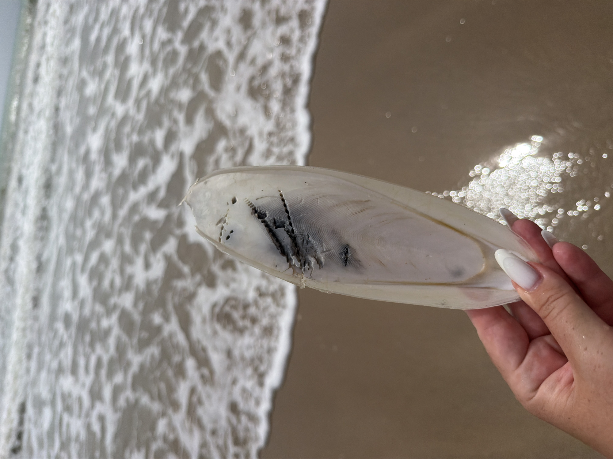 A person's hand with white painted nails holds a white, elongated cuttlebone fragment with dark markings near the center. The background shows a sandy beach with gentle waves washing ashore. The water appears murky and the sky is overcast, suggesting a cloudy day. The scene is located on the shore of Bang Muang, Thailand.