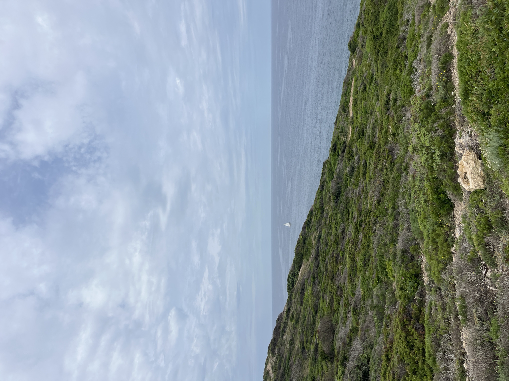 The image depicts a coastal scene in San Vero Milis, Italy. The right side of the frame is dominated by a green, shrub-covered hillside that slopes down towards the sea. On the hillside, there is a rocky section with some yellow flowers. The left side shows the sea under a cloudy, light blue sky. In the center of the sea, there is a small white sailboat.