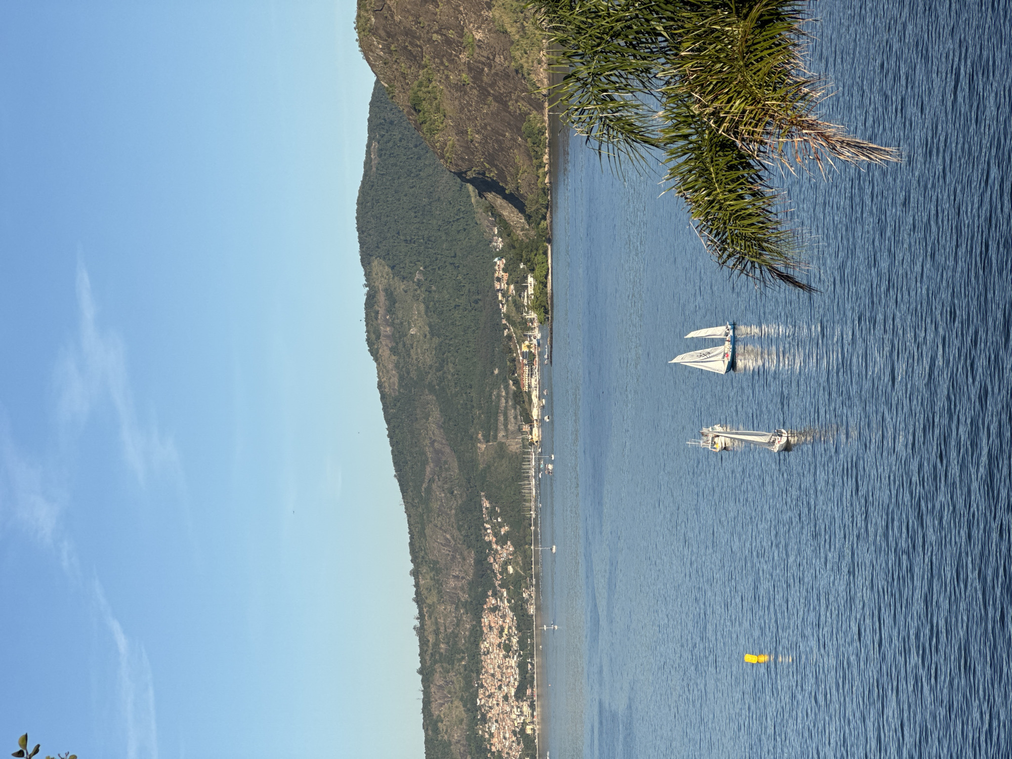 The image captures a serene bay in Niterói, Brazil, under a clear blue sky. The water is calm, with gentle ripples reflecting the sunlight. Several sailboats are scattered across the bay, their white sails standing out against the deep blue water. A bright yellow buoy is visible in the foreground, marking a section of the bay.
In the background, lush green mountains rise, partially covered with a dense forest. On the slopes of one of the mountains, a densely populated hillside community with houses of various colors is nestled. The other mountain is characterized by its rocky, imposing facade, showcasing its natural grandeur.
Along the coastline, buildings and infrastructure indicate urban development. A palm frond hangs into the frame on the right side, adding a tropical touch to the scene. The overall impression is one of natural beauty intertwined with urban life, a characteristic scene of Niterói's iconic landscape.