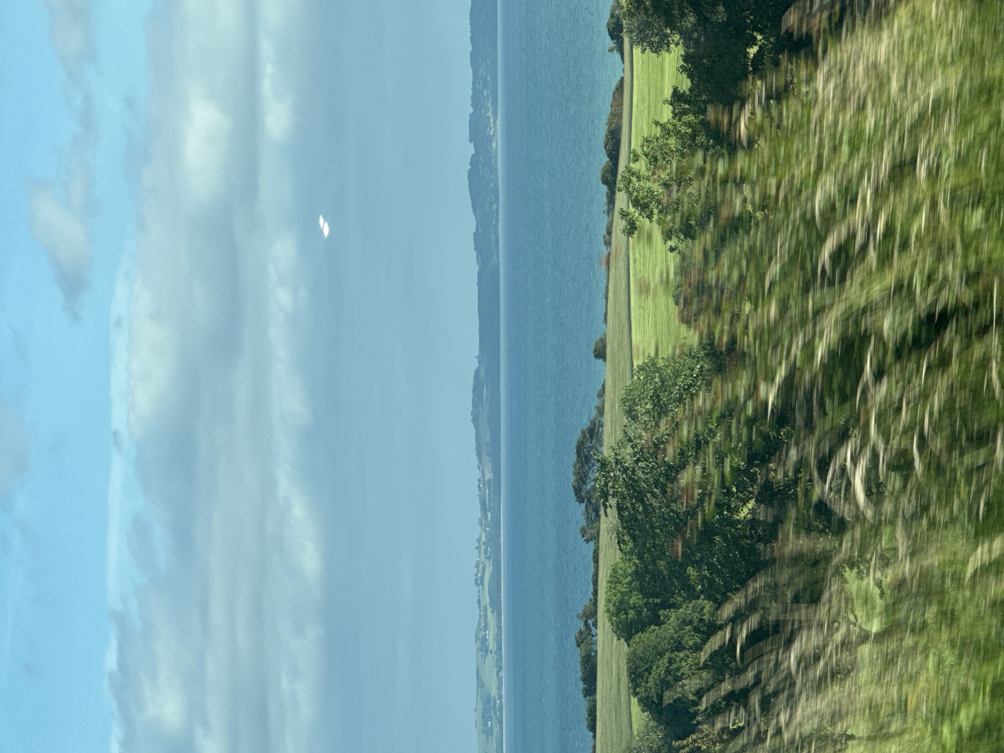 The image depicts a scenic view of a coastal landscape. In the foreground, tall grasses are blurred due to motion, suggesting the image was taken from a moving vehicle. Behind the grasses, a vibrant green field stretches out, dotted with various trees and shrubs. Beyond the field, a vast expanse of blue water, likely an ocean or bay, is visible. In the distance, rolling hills covered in greenery and scattered with buildings form the horizon. The sky above is a pale blue, with scattered white clouds, and two bright, elongated shapes are visible, possibly lens flares or reflections. The scene conveys a sense of natural beauty and tranquility. The location is not identified, and no people or specific actions are depicted.