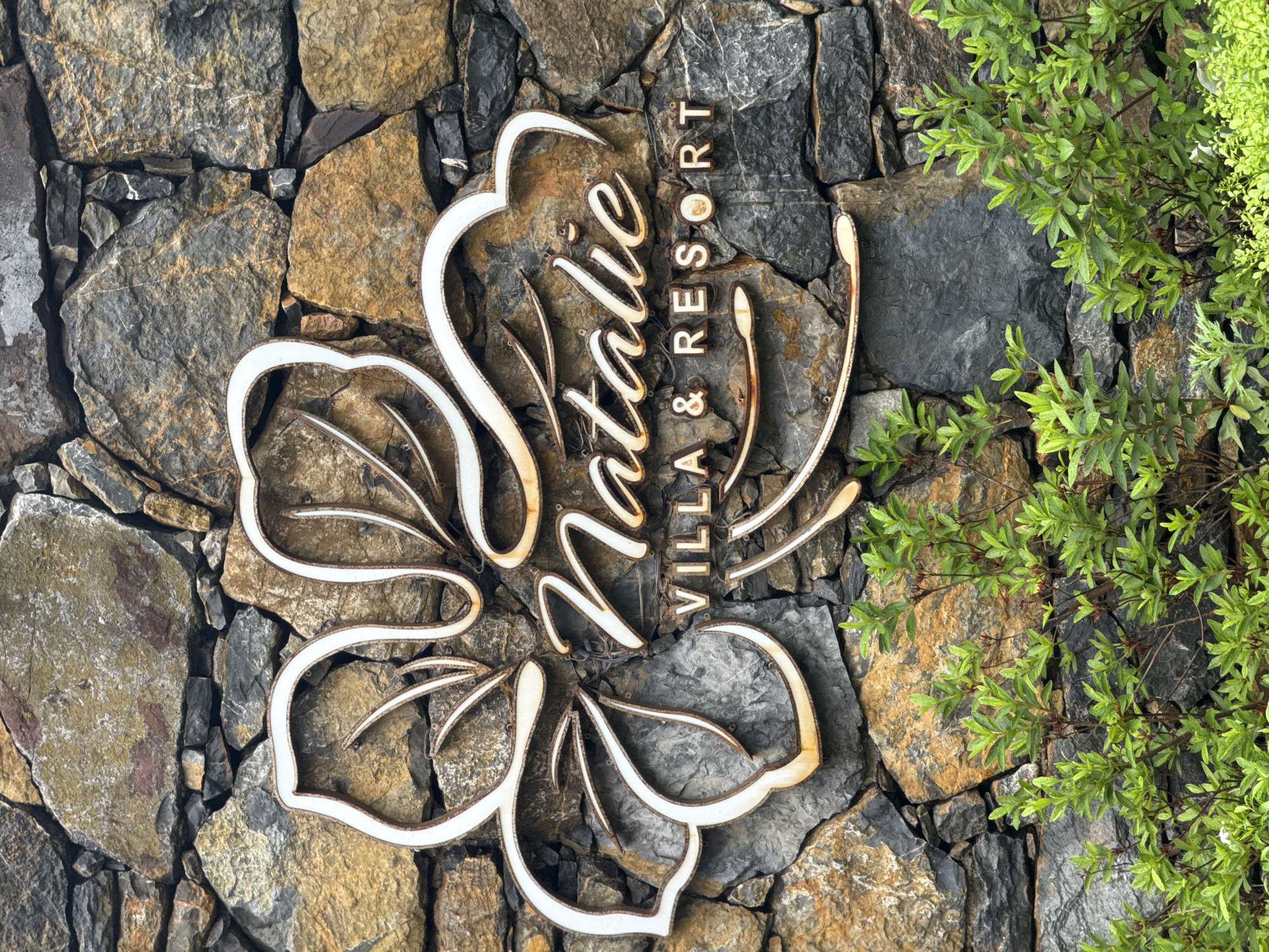 The image shows a close-up view of a sign for "Natalie Villa & Resort" mounted on a stone wall in Moc Chau, Vietnam. The sign features a decorative floral motif in white and gold, with the resort's name prominently displayed in a cursive font, followed by "VILLA & RESORT" in block letters. The stone wall is constructed from a variety of natural stones in shades of gray, brown, and tan. Lush green foliage is visible at the bottom of the image, partially obscuring the base of the wall and sign. The lighting suggests an overcast or shaded environment. There are no people or animals in the image.