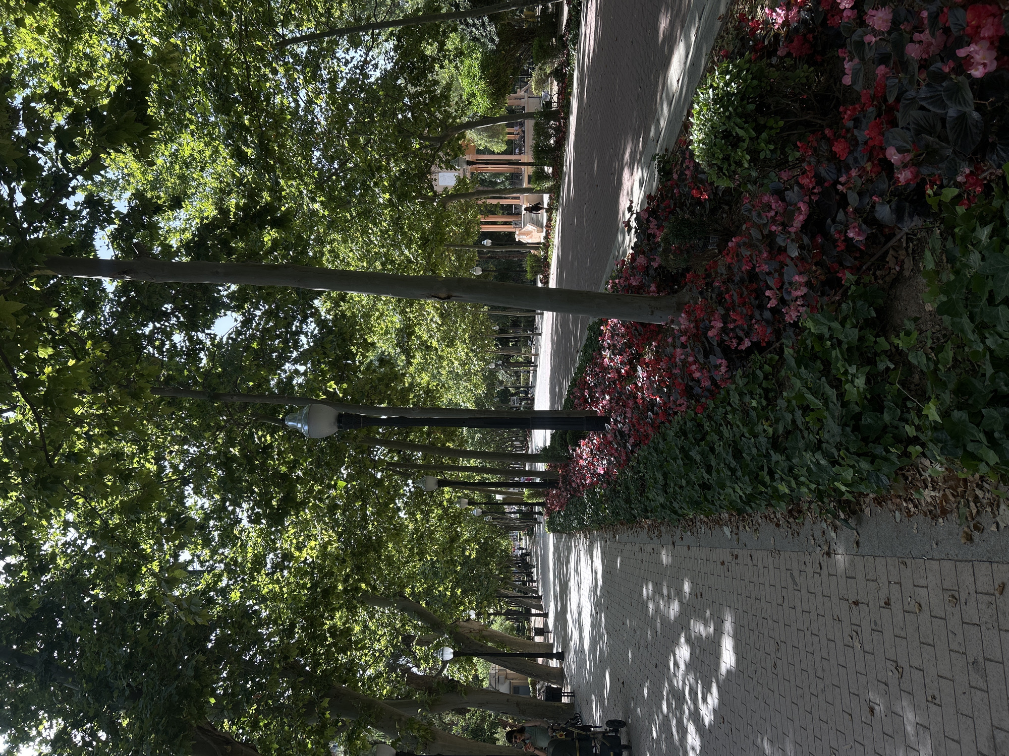 This is an eye-level, outdoor, medium shot of a tree-lined park pathway in Castelló De La Plana, Spain. The pathway is paved with light-colored bricks and bordered on the right by a flowerbed with red and pink flowers and dark green foliage. A paved road runs parallel to the flowerbed on the right side of the frame. The pathway is partially shaded by large trees with dense green foliage that line both sides of the path. Several lampposts are visible along the pathway. In the background, on the right side, a structure resembling a gazebo with a pink roof and white columns is visible. A few people are visible in the distance on the pathway, walking or sitting on benches. On the left side of the pathway, a person with dark hair is pushing a baby stroller. The lighting suggests it is daytime, with sunlight filtering through the leaves, creating dappled shadows on the pathway.