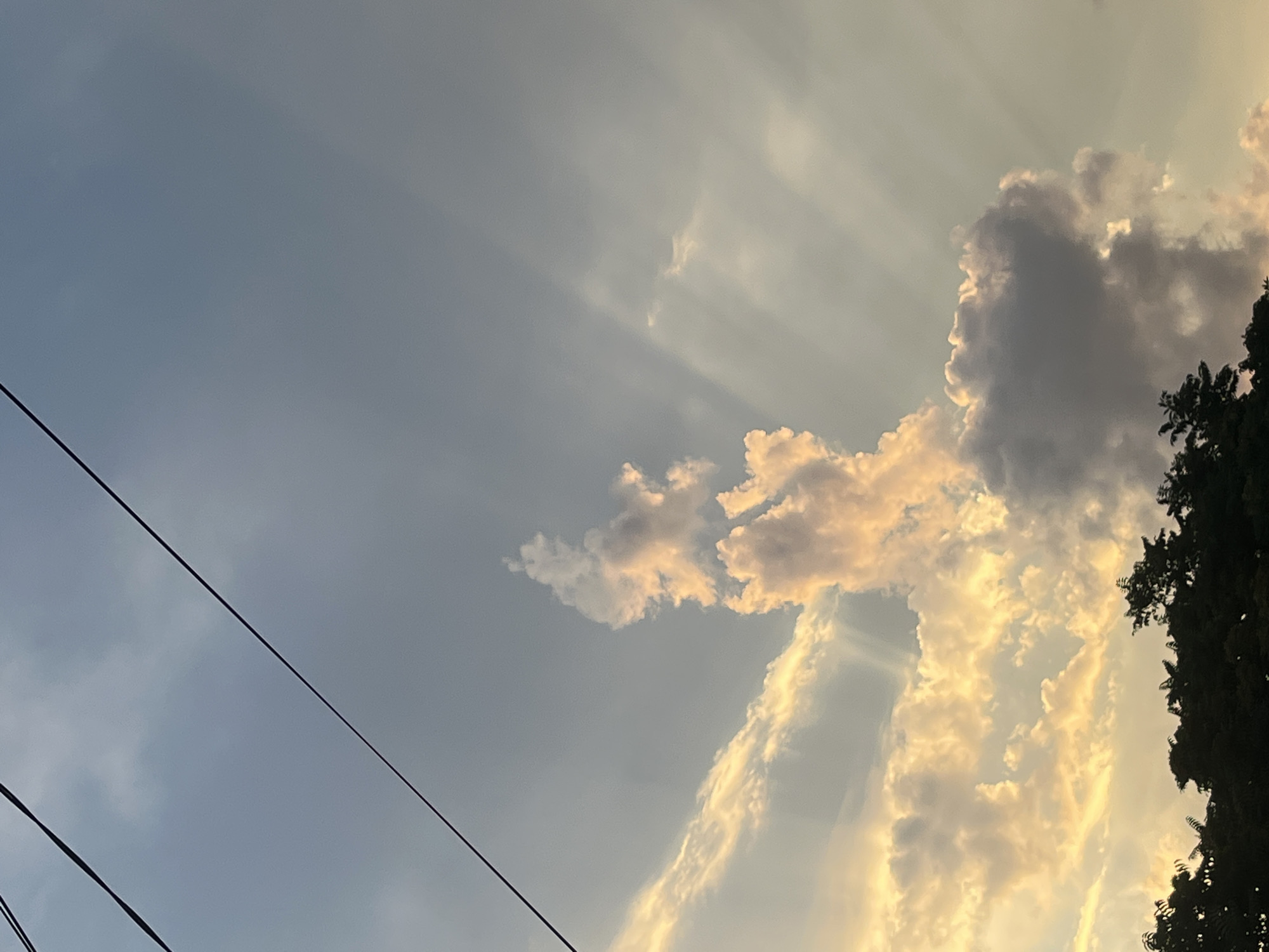 The image captures a sky scene with dramatic cloud formations and light rays, suggesting either sunrise or sunset. The sky is a gradient of blue and pale yellow, with prominent sunbeams piercing through the clouds, creating a dramatic and ethereal effect. A few dark power lines traverse the frame diagonally, indicating an urban or suburban setting. On the right side of the image, the silhouette of a tall tree is visible, its foliage dark against the bright sky. The clouds are a mix of dark, dense formations and wispy, illuminated ones, catching the light in hues of orange and yellow. The overall mood is serene and awe-inspiring, highlighting the beauty of natural light and atmospheric phenomena. No people or text are visible in the image. The location context is Krasnodar, Russia.