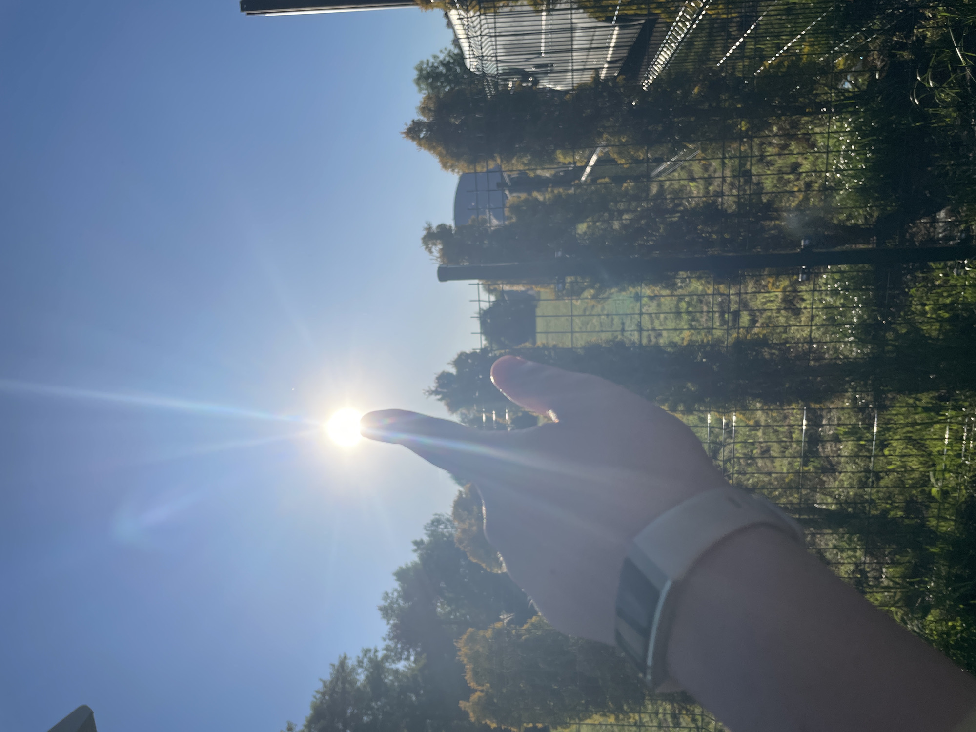 The image shows a hand pointing at the sun. The person is wearing a white fitness tracker. Behind the hand, there is a fence, some trees, and a clear blue sky. A building can be seen behind the trees. The location in the city is unknown.