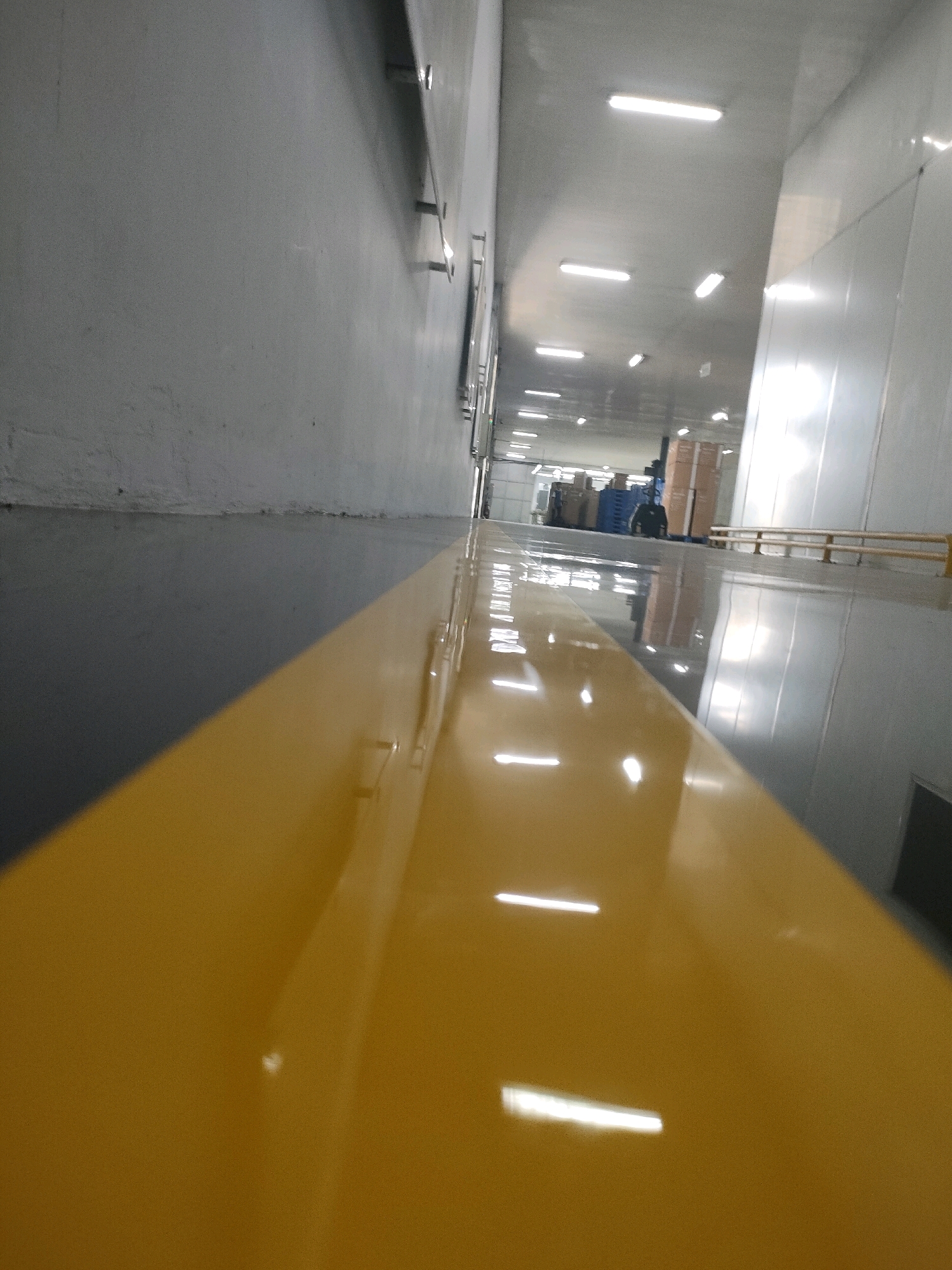 The image shows a long, wide corridor within an industrial facility, likely a warehouse or cold storage unit, in Sayung, Indonesia. The corridor features a smooth, reflective floor with a distinct yellow line running along the right side, creating a visual divide. The walls of the corridor are mostly a light, neutral color, with some textured concrete visible on the left. The ceiling is illuminated by numerous long, linear fluorescent lights, casting a bright, even glow throughout the space. In the distance, at the end of the corridor, stacks of boxes and pallets are visible, along with industrial equipment such as a forklift. The overall impression is one of a clean, functional, and well-lit industrial environment. There are no people clearly visible or interacting in the foreground or midground.