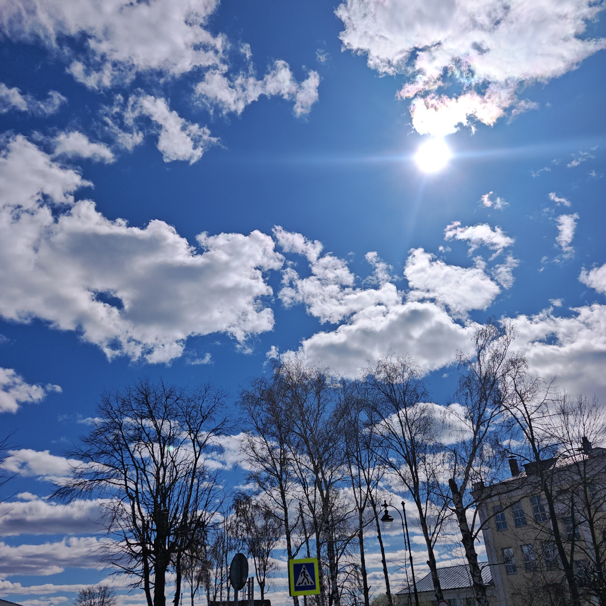 A daytime shot from Rostov, Russia presents a vibrant blue sky dotted with cumulus clouds, with the sun centrally positioned, emitting a strong glare. In the lower portion of the frame, bare trees with a few new leaves outline the city street. Street furniture, including a pedestrian crossing sign and lampposts, are visible amongst the trees. To the right, the facade of a light-colored building with multiple windows is partly visible. The scene suggests early spring in an urban setting.