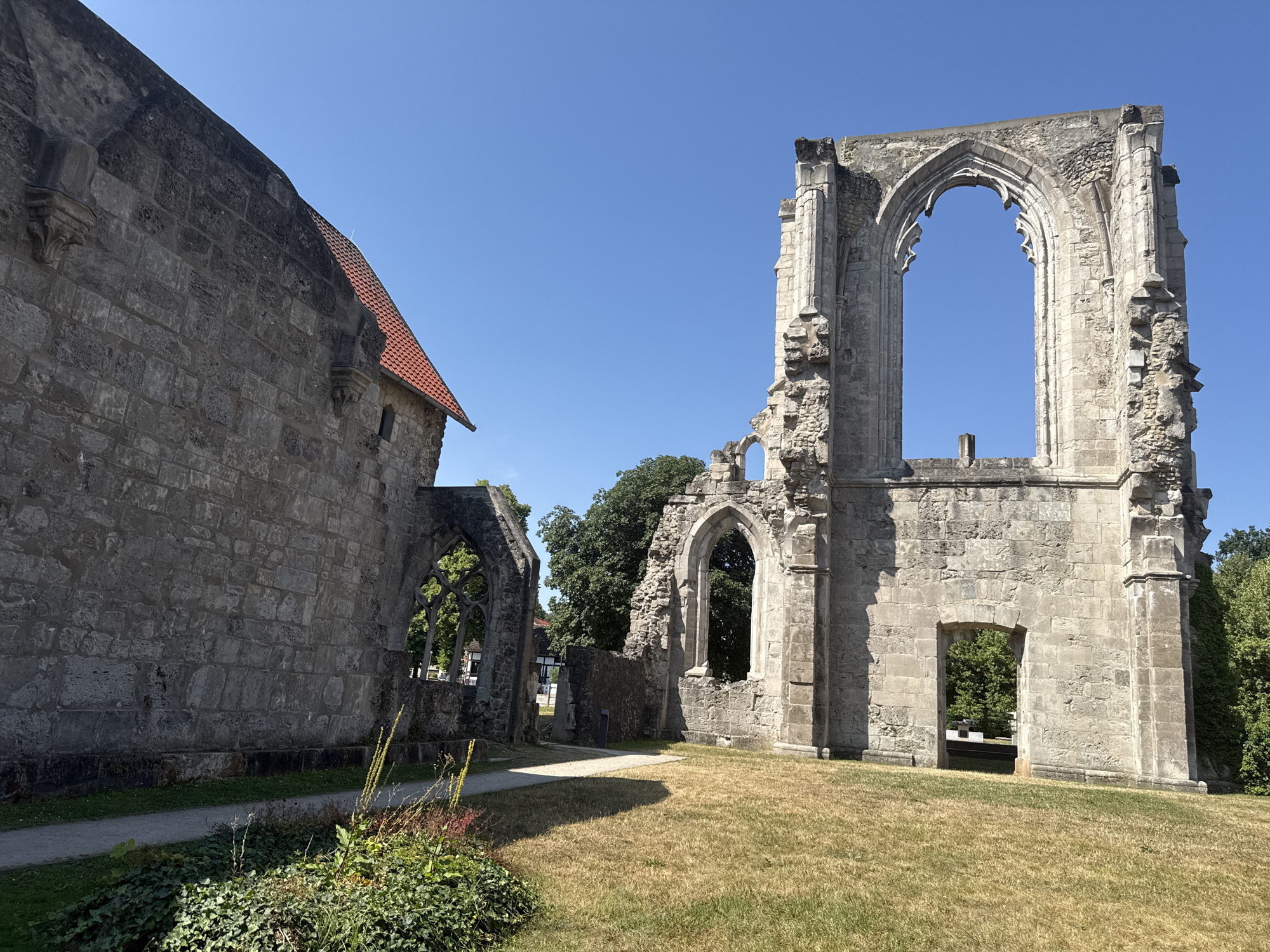 The image displays the ruins of the Walkenried Abbey in Walkenried, Germany. On the left, a large, intact stone wall with a red-tiled roof runs diagonally across the frame. This structure features an arched opening. To the right of this wall, a pathway leads towards another ruined stone structure. This larger ruin has a prominent, tall arched window frame that is open to the sky, with stone remnants suggesting a grand architectural past. Smaller arched windows are visible in other sections of the ruins. The ground is covered in dry, yellowed grass, with some patches of green grass and ivy near the foreground. Several trees are visible behind the ruins, with one particularly dense cluster of green foliage on the far right. The sky is clear and bright blue. No people or animals are present in the image. The scene is an outdoor, architectural ruin bathed in sunlight.