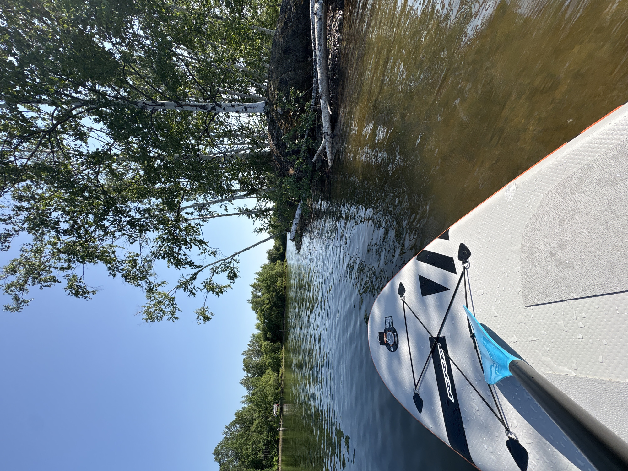 The image captures a first-person perspective from a paddleboard on a calm body of water, likely a lake or river, with a clear blue sky overhead. In the foreground, the paddleboard is visible, with a blue paddle resting on it. The water has a brownish tint, suggesting it may be shallow or contain sediment.
The middle ground features a shoreline densely populated with green trees, including several prominent birch trees with their characteristic white bark, interspersed with other deciduous trees. A large, dark mound covered in moss and vegetation is situated on the right side of the water, with fallen logs and branches lying near the water's edge.
The background shows a continuous line of trees along the opposite bank, creating a natural, undeveloped landscape. The overall impression is one of peaceful outdoor recreation in a serene, natural environment. There are no visible people or structures that would specifically place this scene within the city of Раздольное, Russia, though the natural elements are consistent with regions found in Russia.