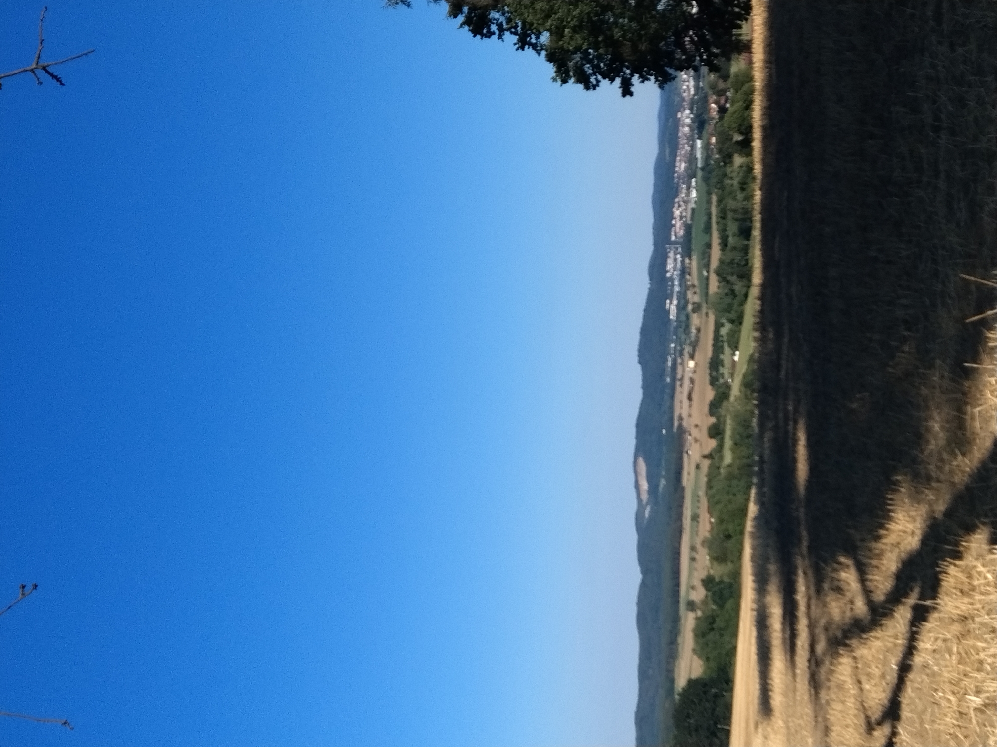 The image shows a rural landscape under a clear blue sky. In the foreground, a harvested field of straw casts long shadows. A large tree stands on the right side of the frame. In the middle ground, rolling hills covered in green trees and fields are visible. In the distance, a town with buildings and infrastructure stretches across the horizon, nestled amongst the hills. The overall scene is one of natural beauty and rural settlement. The specific location of Čížová, Czechia is not discernible from the image itself.