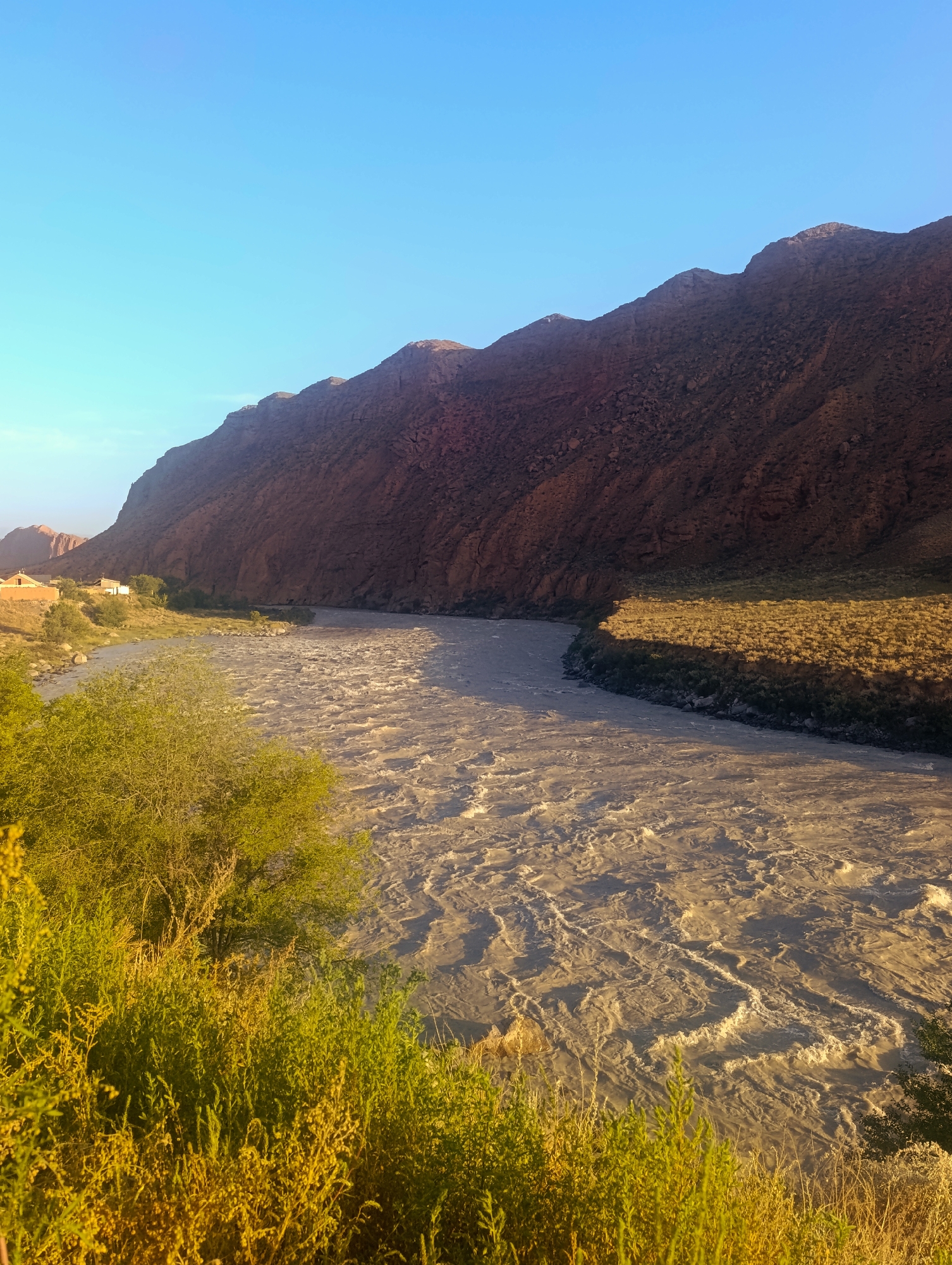 The image depicts a wide, fast-flowing river with murky, light brown water, showing turbulent currents and whitecaps. The river curves from the left foreground towards the right middle ground. On the left bank, there are some low-lying buildings with terracotta roofs, surrounded by greenery and trees. Further back, a large, steep mountain range with a rough, rocky surface dominates the background, casting a shadow over the river in places. The sky above is a clear, bright blue. In the foreground, lush green and yellow vegetation grows along the riverbank. The scene is bathed in the warm, golden light of what appears to be late afternoon or early morning. This river is likely the Naryn River in Naryn City, Kyrgyzstan, a region known for its dramatic mountain landscapes and the significant river that flows through it.
