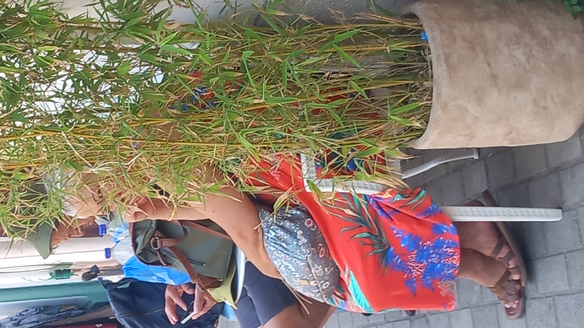 A person with short, light-colored hair and a patterned red dress is seated next to a potted bamboo plant. Their legs, adorned with brown leather sandals, are visible. In the background, another person wearing a green hat and dark clothing is seated, holding a mobile phone. A dark backpack and a green bag are also present. The scene appears to be outdoors, with a paved ground surface. The overall impression is one of casual relaxation in a public or semi-public space, potentially within a café or outdoor seating area, with the presence of greenery suggesting an attempt to create a pleasant ambiance. This scene is located in the city of Kos, Greece, likely within a pedestrianized area or promenade, given the paving stones and general atmosphere.