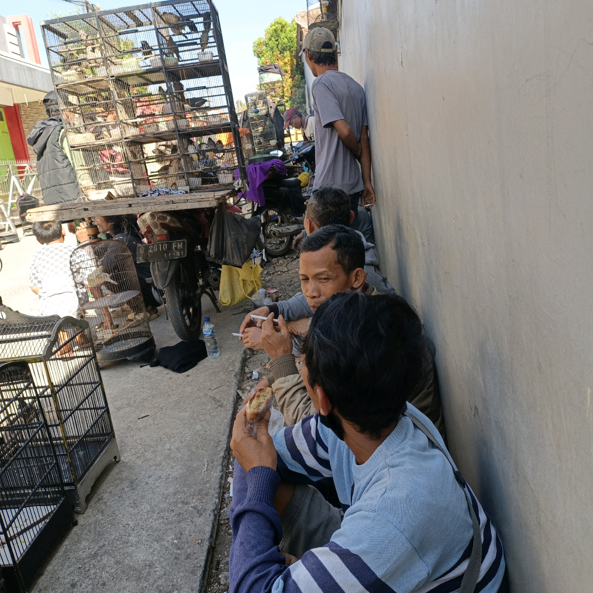 A group of men are gathered outdoors in what appears to be a market setting in Randudongkal, Indonesia. The scene depicts a makeshift stall or display area constructed from wood, loaded with multiple cages filled with birds. A motorcycle is parked behind the display, and a large, light-colored wall forms the backdrop to the right of the image.
In the foreground, three men are seated on the ground. One man, wearing a light blue and white striped sweater, is holding a piece of food wrapped in plastic and looking downwards. Another man, in a grey jacket, is sitting slightly behind him, also looking downwards and holding a cigarette. To their left, a third man, with short dark hair, is leaning against the wall, smoking a cigarette and looking towards the bird cages.
Further back, a man wearing a grey t-shirt and a cap is standing, leaning his back against the wall and holding a cigarette. Another man is partially visible in the background, near the bird cages. A person wearing a dark vest over a lighter colored shirt is also seen near the bird cages.
The ground is paved with concrete and appears somewhat rough, with some debris scattered around. The environment suggests a sunny day with clear skies. The overall impression is a casual gathering of men in a working or trading environment, likely a local market or roadside stall.