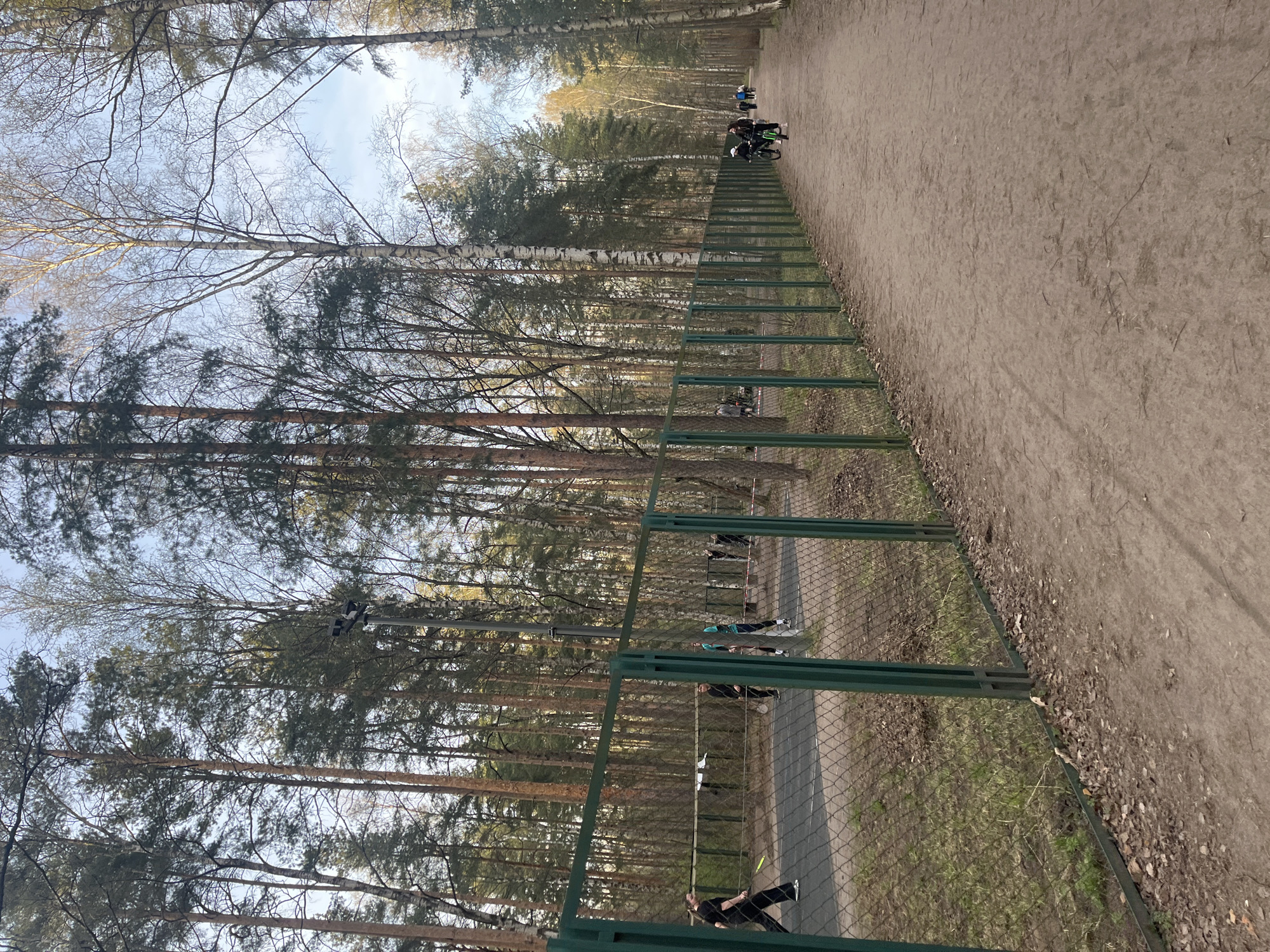 This image depicts an outdoor recreational area in what appears to be a park or forested setting, consistent with Saint Petersburg, Russia. The scene is captured during daylight, likely in spring, indicated by the bare branches of some deciduous trees and the absence of snow. The sky is clear or partly cloudy blue, visible through the tree canopy.
A wide, unpaved dirt path runs along the right side of the frame, leading into the distance. Several individuals are present on this path; two people are riding bicycles, and other figures are visible further down. Separating the dirt path from an adjacent area is a prominent green metal fence with a mesh pattern, extending diagonally from the foreground to the mid-ground.
Behind this fence, there is a paved path and a grassy area interspersed with bare trees and pine trees. Multiple people are engaged in activities here. Some individuals are walking or standing on the paved path. In the foreground behind the fence, one person is visible holding a yellow object, possibly a tennis racket, suggesting they are playing a racket sport within an enclosed court area.
The trees are a mix of bare birch trees with distinctive white bark and evergreen pine trees. The ground cover consists of dry leaves and sparse grass, particularly in the areas around the fence and under the trees. No visible text can be discerned in the image.
