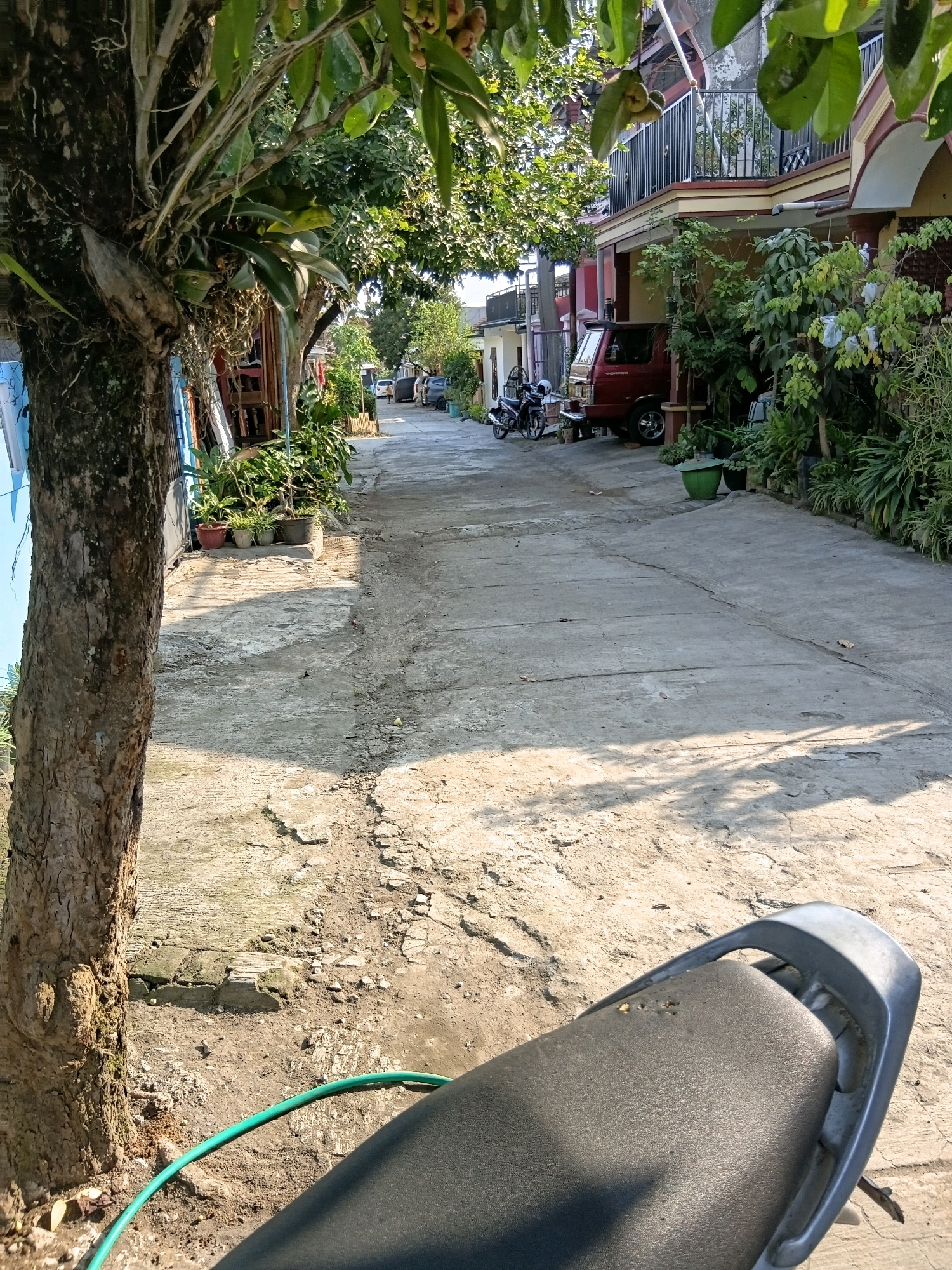 The image depicts a sunlit, paved street in Tanggul Wetan, Indonesia, lined with residential buildings and lush vegetation. In the foreground, the dark seat of a motorcycle is visible, along with a coiled green hose on the ground. To the left, a large tree trunk with textured bark stands prominently, with its branches and leaves partially obscuring the view of the houses beyond. Further down the street, a red van and a motorcycle are parked. The buildings feature balconies with railings and visible roofing. Potted plants and dense foliage are scattered throughout the scene, suggesting a tropical or subtropical environment. The paved surface shows signs of wear and tear, with cracks and uneven sections. The lighting indicates it is daytime, with strong shadows cast by the trees and buildings.