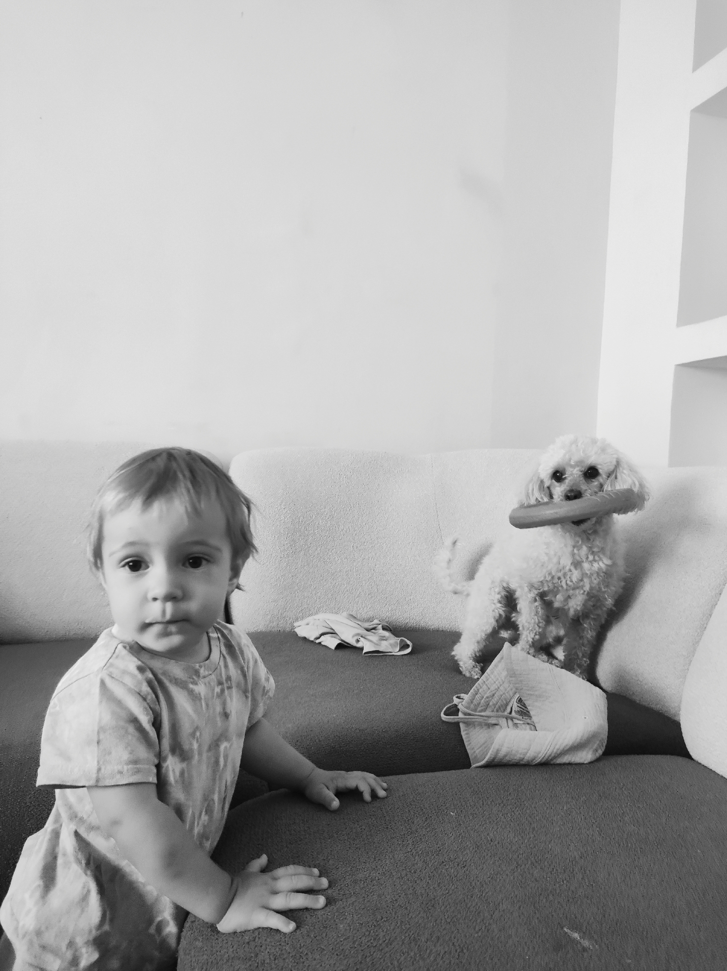 A black and white, medium shot, eye-level, indoor photograph shows a toddler and a white poodle on a couch. The toddler, a young boy with blond hair, is on the left side of the frame. He is wearing a tie-dye t-shirt and is looking at the camera with a serious expression. His hands are resting on the couch. To the right of the boy is a white poodle with curly fur. The poodle is sitting and holding a ring-shaped toy in its mouth. The poodle is looking at the camera. The background of the image consists of a couch and a wall. There are two white cushions on the couch behind the boy and the dog. A folded white piece of fabric is on the couch to the left of the dog. The scene appears to be a living room.