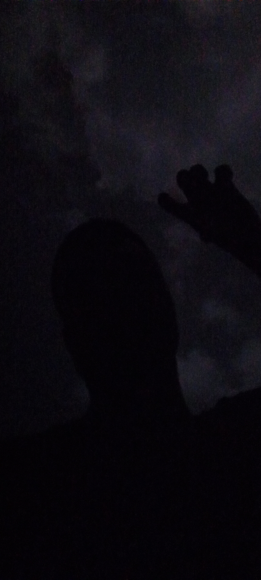 The image depicts a dimly lit scene, seemingly taken in Ilogbo Eremi, Nigeria. A dark silhouette of a person's head and upper body is visible against a background that appears to be a night sky or dark clouds. A hand, also silhouetted, is raised in the upper right portion of the image. The overall darkness obscures details, but the shapes suggest a possible self-portrait or candid shot captured in low-light conditions.
