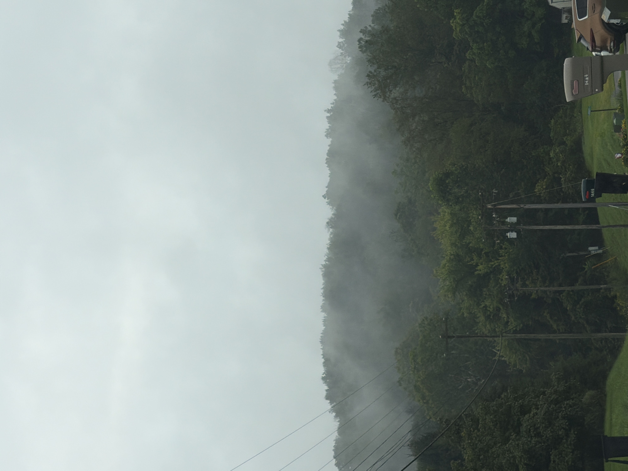 The image depicts a misty, overcast day in a rural or suburban area, likely in Fallowfield Township, United States of America. The landscape is dominated by a dense forest covering a rolling hill in the background. Fog or mist is visibly present, obscuring the upper portions of the trees and creating a hazy effect. In the foreground, power lines traverse the left side of the frame, supported by utility poles. Two mailboxes are visible in the lower right, one a light tan color with the number 1444 and another a dark green with the number 1446. A portion of a light brown vehicle is parked to the right of the tan mailbox. The ground is covered in green grass. The overall atmosphere is subdued due to the weather conditions.