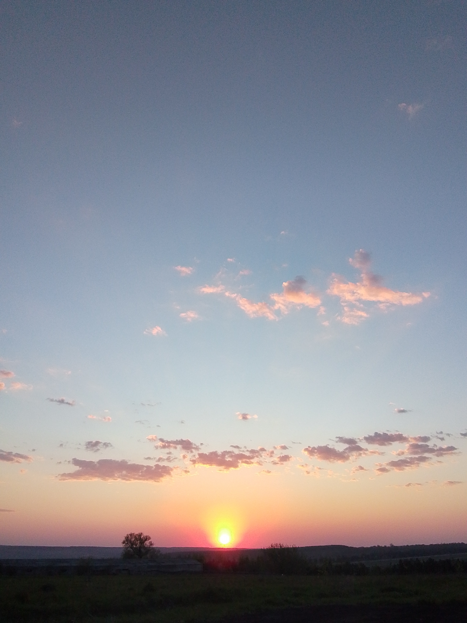 The image shows a sunset scene in Khlevnoye, Russia. The sun is on the horizon, emitting a bright yellow glow with reddish hues above it. The sky is a gradient of light blue at the top, transitioning to orange and pink near the horizon. There are scattered clouds in the sky, some tinged with pink. Below the horizon, there is a dark silhouette of a landscape, possibly trees and fields. A tree is visible to the left of the sun, providing a focal point in the scene. The lower part of the image is dark, indicating the ground or foreground. No people or actions are visible.
