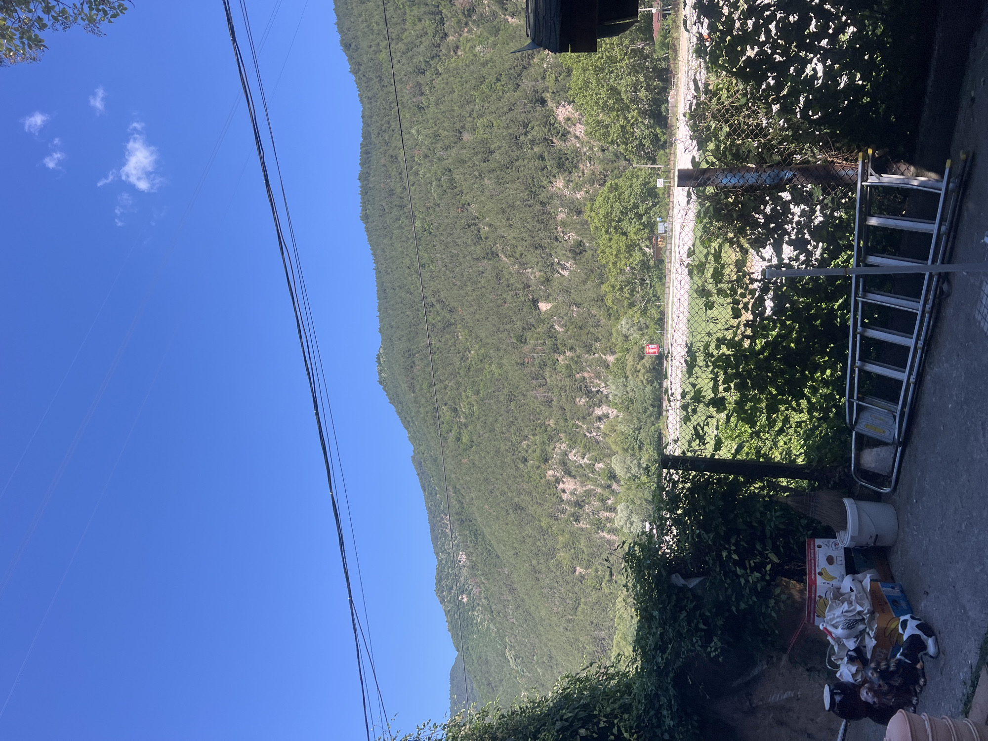 The image captures a serene mountain landscape with a clear blue sky overhead. In the foreground, a cluttered yard is visible, with various items piled up, including boxes, buckets, and a ladder. Lush green foliage borders the yard, and a chain-link fence separates it from a field beyond. A dense forest covers the mountainside, with a few patches of bare rock showing through. The scene appears to be a rural setting, possibly on the outskirts of Bachkovo, Bulgaria, given the mention of the city. The lighting suggests a bright, sunny day, likely in the late morning or early afternoon. There are no people visible in the frame, and the overall atmosphere is one of tranquility and natural beauty, juxtaposed with the utilitarian arrangement of objects in the yard.