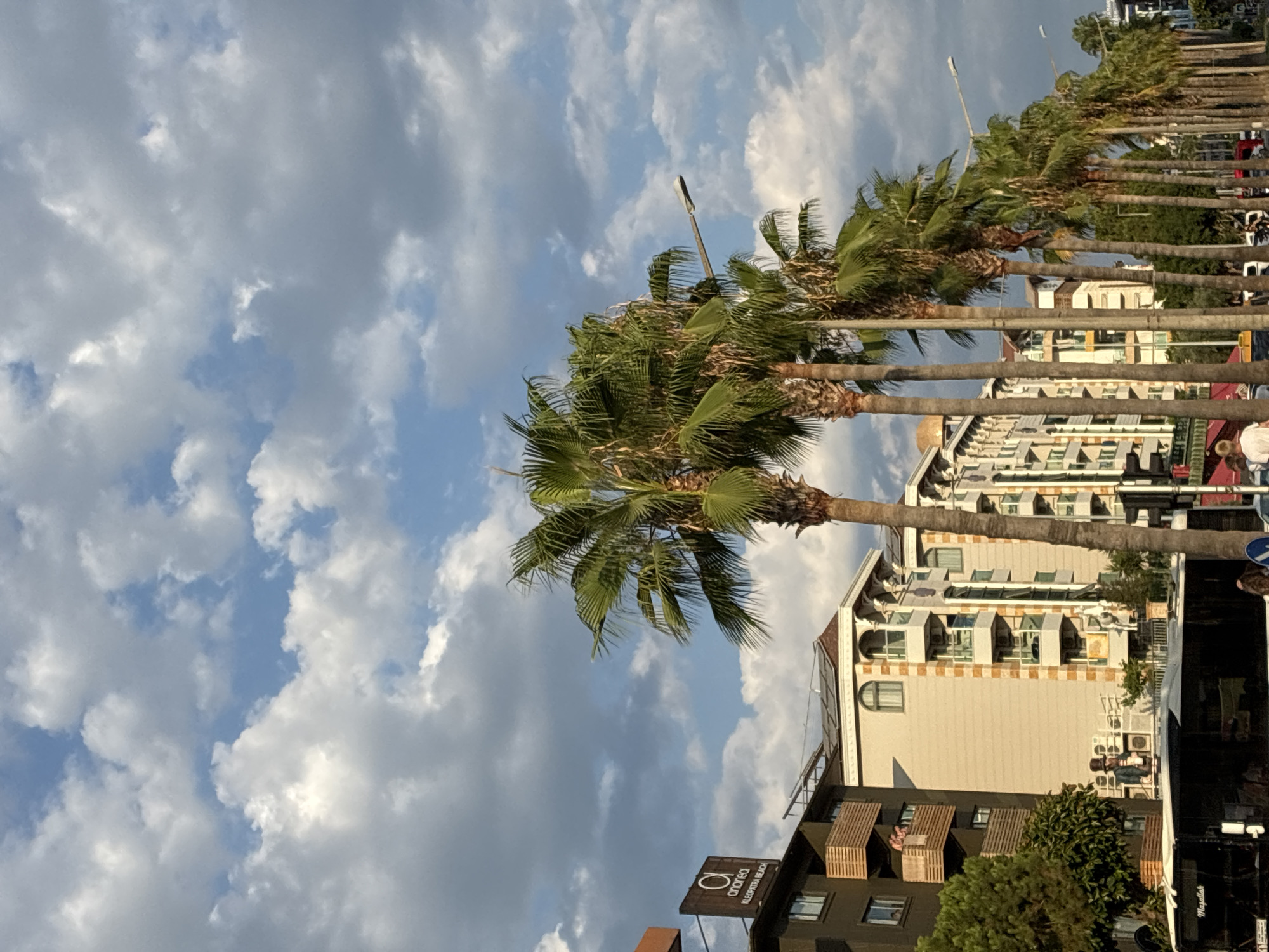 In Alanya, Turkey, a row of palm trees lines a street with buildings and a partly cloudy sky overhead. The buildings are varied in style, with the closest one on the left being dark-colored with wooden balconies. To its right, a lighter-colored building features multiple balconies with decorative arches. Further down the street, more buildings of similar architecture are visible, some with solar panels on their roofs. A black bus with "Masallak" written on its side is parked on the street. Several people are present, including two individuals on a balcony of the dark building, two figures standing on top of the bus, and others in the background walking or near vehicles. The sky is a mix of blue and large, fluffy white and grey clouds. A street lamp extends from a pole between the palm trees. The scene appears to be an urban street in Alanya, likely near Kleopatra Beach, as indicated by a sign visible on the dark building that reads "anarea KLEOPATRA BEACH".