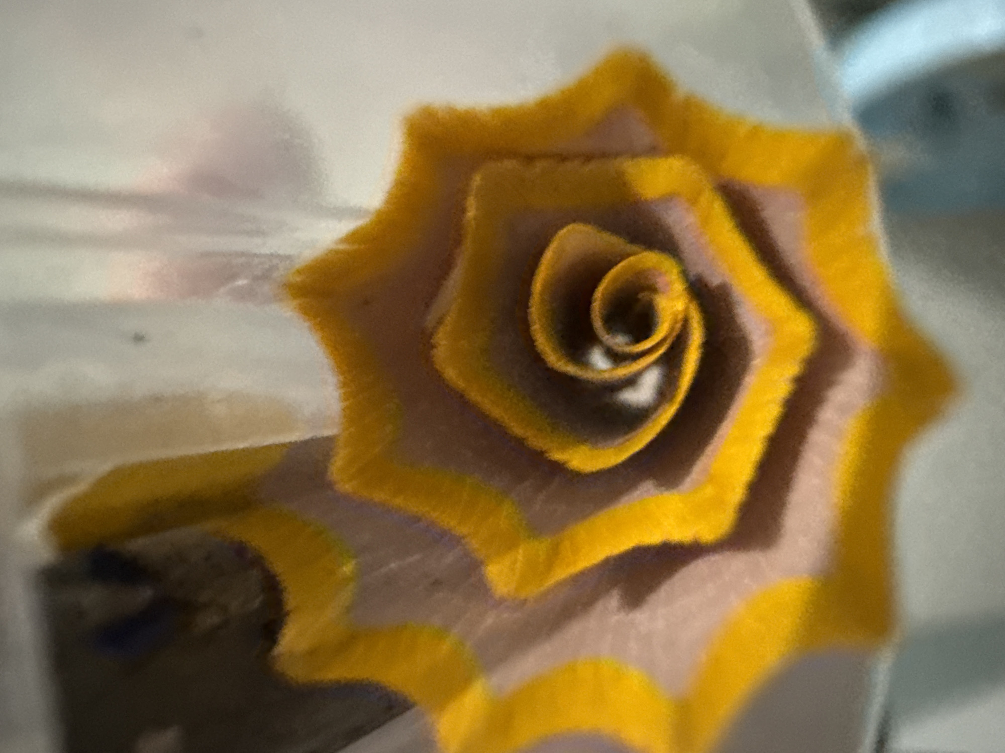 The image displays a close-up, abstract view of what appears to be a curled piece of paper or a rolled-up art material, possibly from a pencil sharpener. The object exhibits concentric layers with alternating colors of yellow and a muted purple or grey. The edges of the yellow layers are somewhat frayed, giving a textured appearance. The background is out of focus and appears to be a translucent material, possibly plastic or glass, with hints of diffused light and color. There are no discernible elements that would suggest a specific location in Lhokseumawe, Indonesia. The composition is abstract and focuses on the texture and form of the central object.