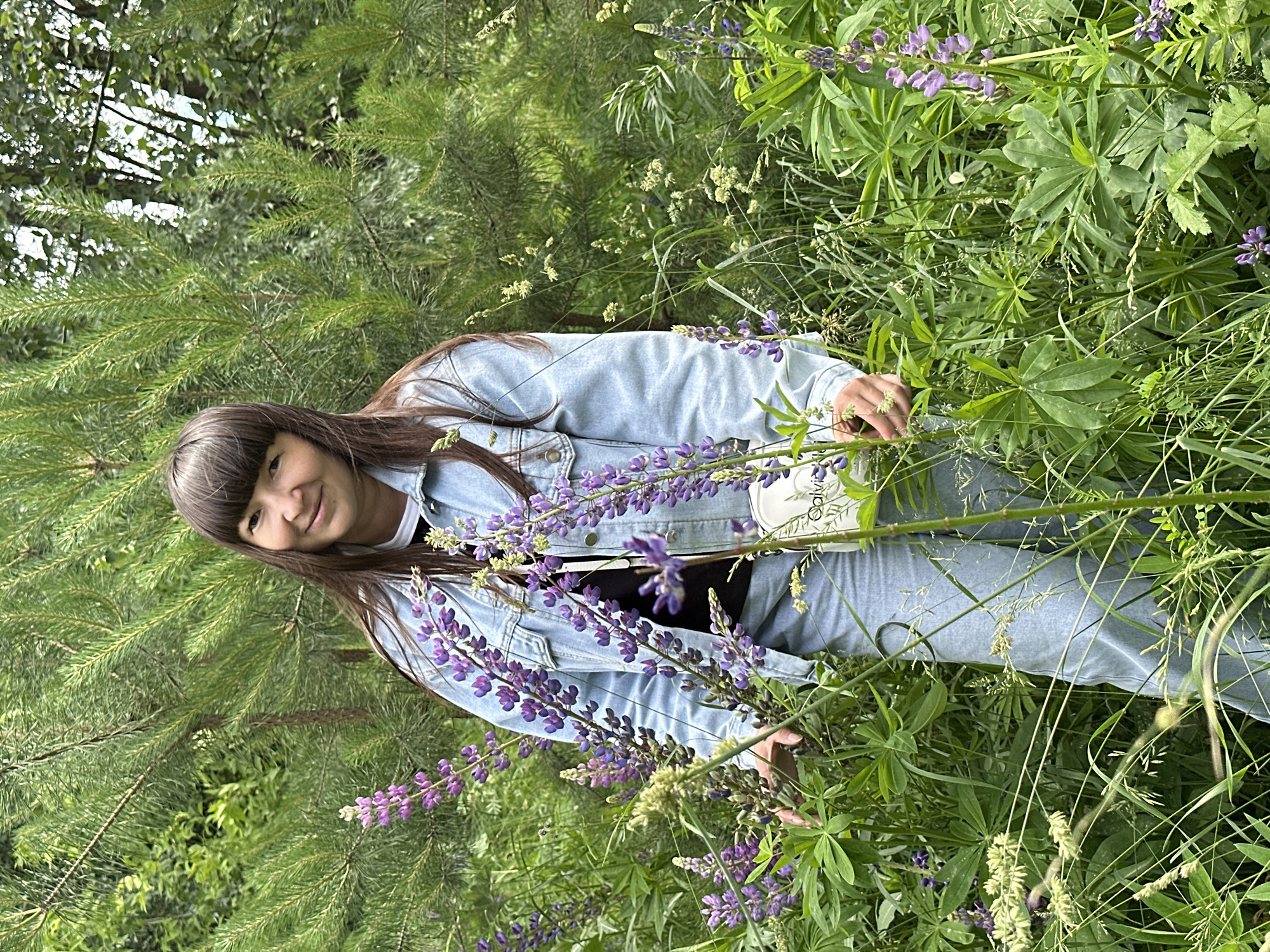 In a natural setting with abundant greenery and purple lupine flowers, a young person with long, dark hair and bangs smiles at the camera. They are wearing a light blue denim jacket over a black top and light blue jeans. A small white bag with text is visible. The person is positioned in a way that suggests they are either lying down or leaning within the tall grass and flowers, surrounded by the dense foliage of pine trees and other plants. The overall mood is relaxed and joyful, with the person appearing happy and at ease in the outdoor environment. The sunlight suggests it's daytime, and the lush vegetation indicates a warm, likely spring or summer, season. The location context is Chaikovsky, Russia.