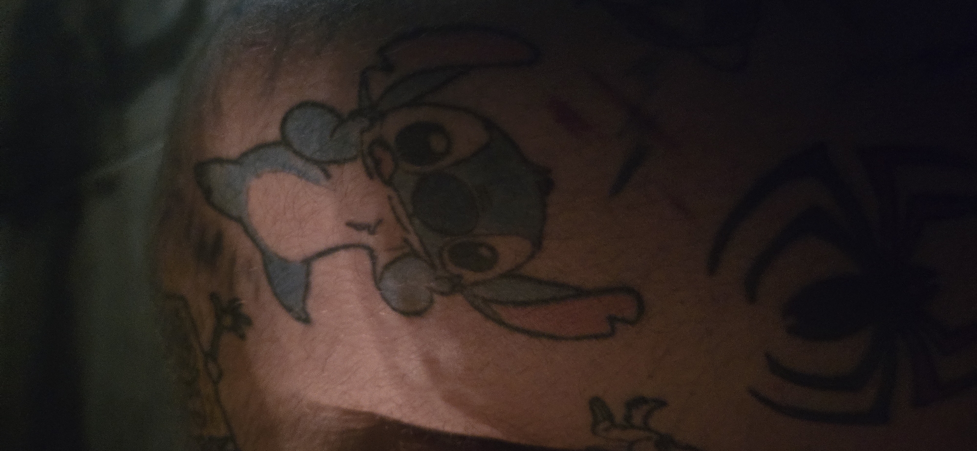 The image presents a dimly lit, close-up view of human skin, likely an arm or leg, covered with several tattoos. The central and most discernible tattoo features two animated characters. On the right, a blue character resembling Stitch from Disney's "Lilo & Stitch" is depicted with large, wide eyes, prominent ears, and a hint of a smile. Facing Stitch on the left is a smaller, light blue character, possibly Angel (Stitch's love interest), with a rounded head, small snout, and pointed ears, appearing to be in an affectionate pose, perhaps snuggling.
To the right of these cartoon figures, a dark, abstract tattoo with curved and angular lines is partially visible, hinting at a spider or a tribal design. Below the main tattoo, a faint, dark outline of what appears to be a small floral or plant-like design can be seen. Other faint lines and darker patches across the skin suggest the presence of additional, less defined tattoos. The skin itself shows some texture and hair follicles. The overall lighting is low, casting shadows and making the background indistinct, suggesting an indoor setting or very dim ambient light. No specific activity is taking place other than the display of the tattoos. There is no visible text in the image.