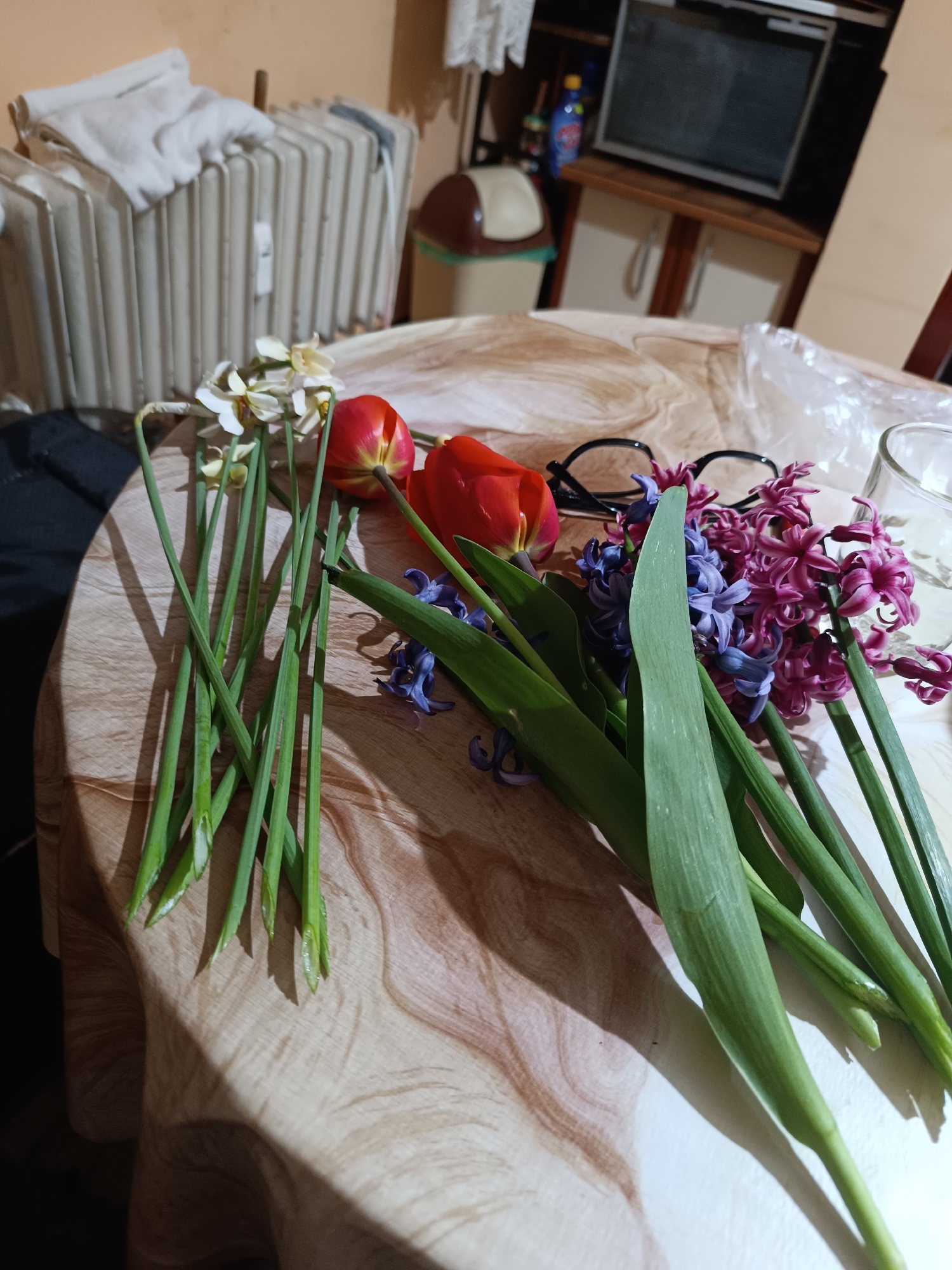 A still life of flowers, eyeglasses, and a glass sit on a round, wood-patterned table. From left to right, the flowers are daffodils, two red tulips, and purple hyacinths. Black eyeglasses are positioned between the tulips and hyacinths. A clear glass sits to the right of the hyacinths. The table is located indoors, with a radiator and miscellaneous furniture visible in the background. The location may be in the city of Pleven, Bulgaria.