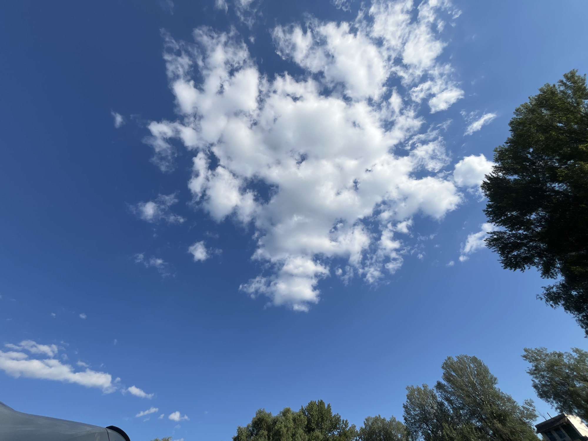 The image depicts a bright, clear blue sky filled with scattered white cumulus clouds. The perspective is upward-looking, showcasing the vastness of the sky. In the lower right and far right edges of the frame, the dark green foliage of tall trees is visible, obscuring parts of the sky and suggesting they are located in the foreground or immediate vicinity. Along the very bottom edge, a dark, curved object, possibly the roof of a vehicle or structure, is partially visible on the left. The scene appears to be an outdoor environment, likely in a suburban or natural setting, given the presence of trees and the open sky. The lighting suggests it is daytime, with the sun likely high in the sky, creating a well-illuminated scene. The location is identified as Vadul lui Vodă, Moldova.