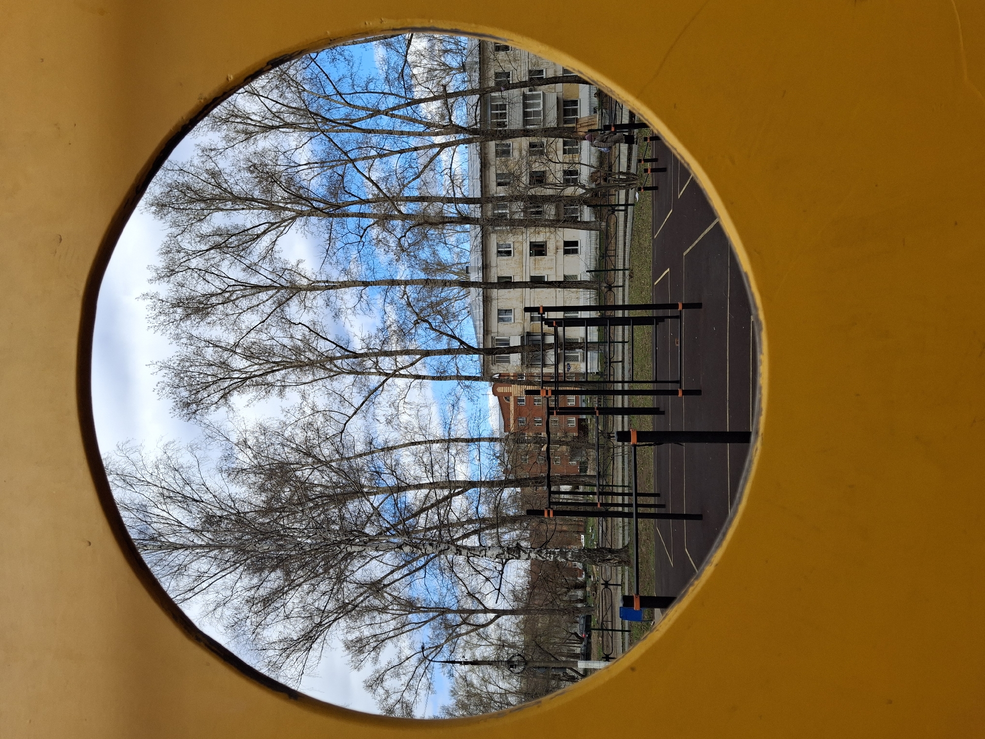 The image displays an outdoor urban or suburban scene viewed through a circular, bright yellow opening, possibly part of a playground structure.
The central focus of the view is a row of tall, bare-branched trees, suggesting the season is late winter or early spring. Behind these trees, a multi-story residential apartment building with numerous windows and an aged facade stands prominently. To the right of the trees and partially obscured by them, a paved sports ground or workout area is visible, equipped with several black metal exercise structures, including pull-up and parallel bars. Yellow lines mark the dark pavement of this area. A fence runs along the edge of the sports ground.
The background is a clear, vibrant blue sky dotted with scattered white clouds. No people or active events are depicted, presenting a static landscape. There is no visible text in the image. The setting is in Chaikovsky, Russia.