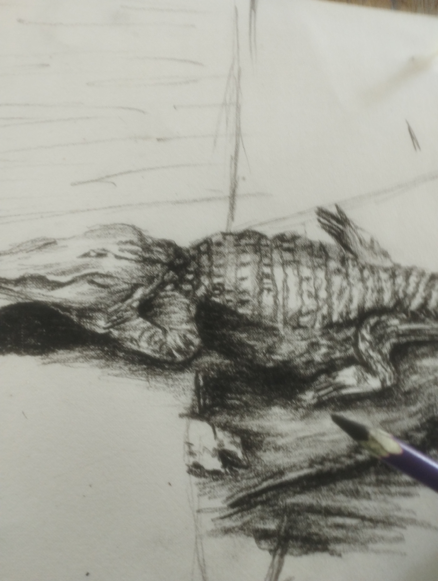 The image displays a close-up view of a charcoal sketch of an alligator on a sheet of paper. The alligator is depicted lying down, with its head to the left and its body stretching towards the right. The sketch shows intricate detail in the alligator's scales and skin texture, rendered with varying shades of charcoal to create depth and form. The background of the sketch is largely unfinished, with light horizontal lines suggesting a body of water or a flat surface. The overall scene appears to be an artistic work in progress. A purple colored pencil is visible in the lower right corner of the image, resting on the paper and pointing towards the sketch, indicating that the drawing is actively being worked on. The lighting suggests it could be daytime, but there are no specific cues for time of day, weather, or precise location beyond the implied setting of an artist's workspace. There is no visible text in the image.