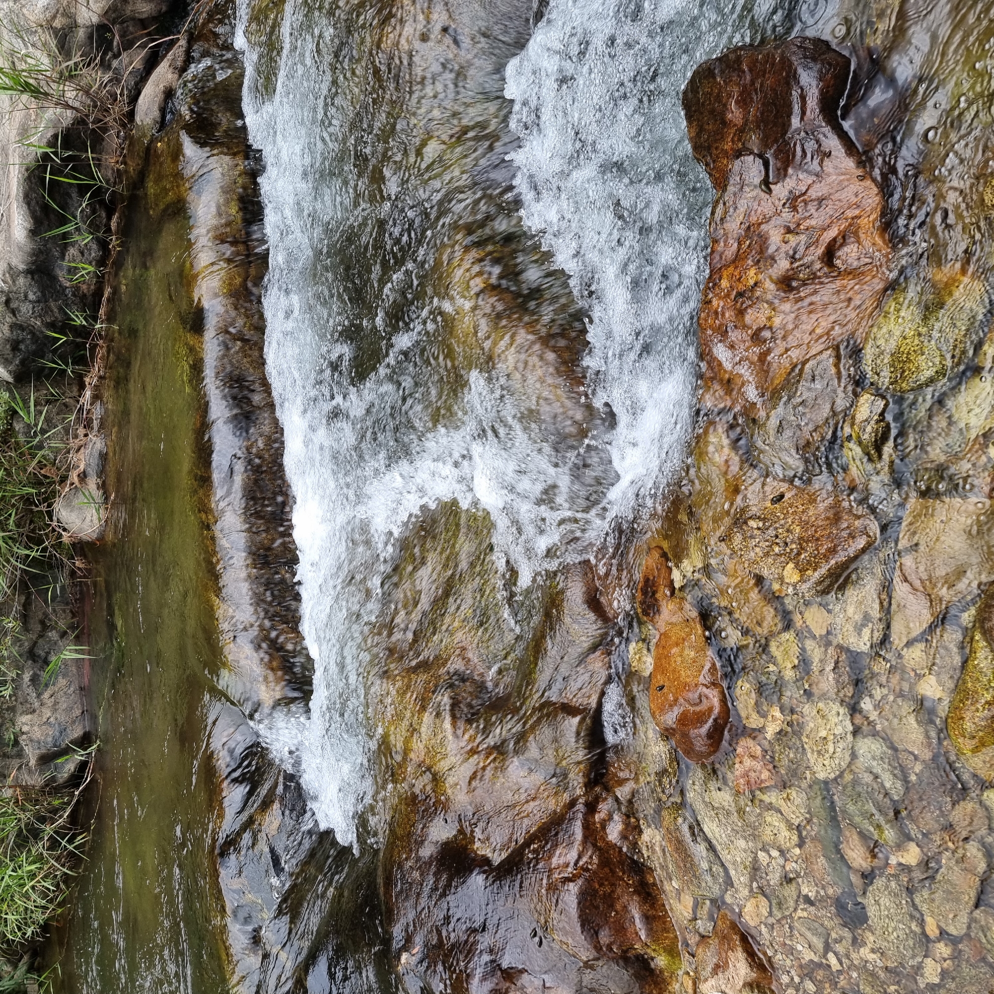 This is a close-up, eye-level, medium shot of a shallow river or stream flowing over rocks. The water is clear and slightly greenish, with white foam and ripples where it cascades over a rocky ledge in the center of the frame. The rocks are of various sizes and colors, from dark brown to tan and gray, with some covered in moss. The riverbed is also visible, filled with smaller stones. On the left side of the upper portion of the image, there is some green grass and dry reeds growing along the bank, with larger rocks behind them. The overall scene depicts a natural, tranquil environment.