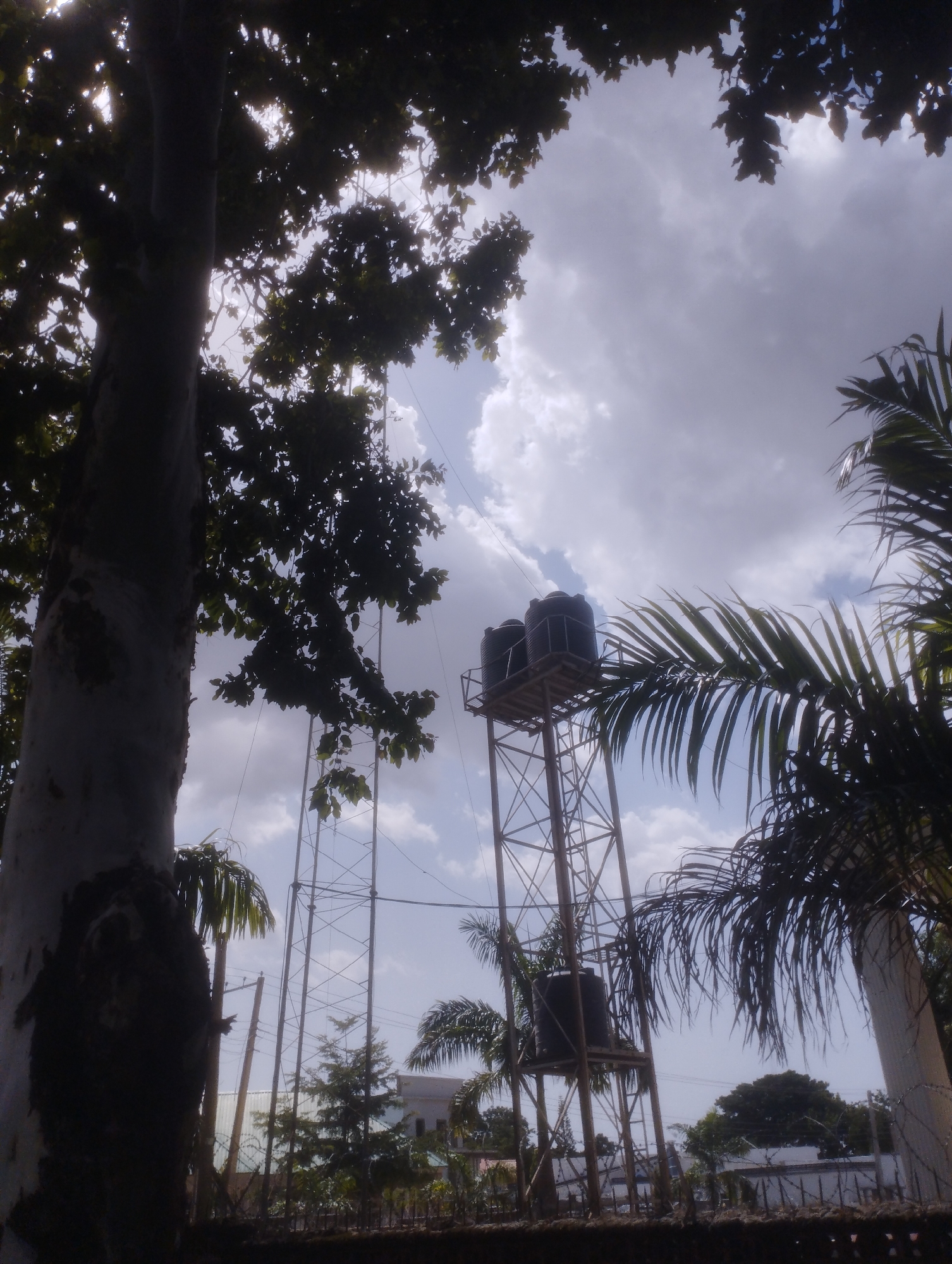 This media file captures an outdoor scene in Jos, Nigeria, with a focus on industrial water tanks and lush vegetation. Two large, dark water tanks are prominently displayed atop a tall, metal tower structure, suggesting a functional setting related to water storage or distribution. The sky above is a mix of bright, partly cloudy conditions, indicating it is likely daytime.
The foreground is partially obscured by the dark silhouette of a large tree on the left and palm fronds on the right, which frame the central view of the water tower. These trees and foliage suggest a tropical or subtropical environment, consistent with Jos, Nigeria. Behind the water tower, glimpses of buildings and other vegetation can be seen, hinting at a developed area within a natural or semi-natural landscape.
There are no people or specific activities depicted in the frame. The overall mood is serene and perhaps a bit industrial, with the juxtaposition of man-made structures against the natural elements. The lighting suggests a bright day, possibly late morning or early afternoon, given the contrast between the illuminated sky and the shadowed foreground. No text is visible within the image.