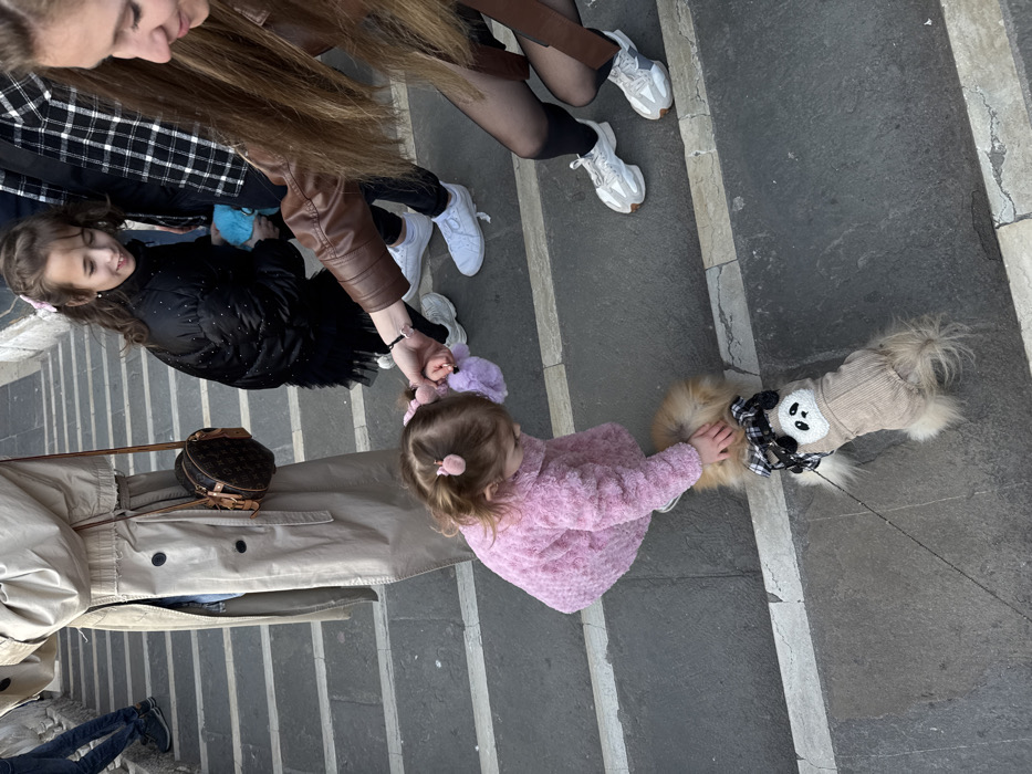 The image captures a group of four individuals and a small dog on a wide, grey stone staircase featuring white horizontal mortar lines, characteristic of a bridge or public walkway in Venice, Italy. In the immediate foreground, a toddler with light brown hair adorned with pink pom-pom clips, dressed in a pink fluffy coat, crouches on a step, stroking a small, fluffy light brown dog. The dog is clad in a beige ribbed outfit with a white panda face motif and a black-and-white plaid bow near its tail, connected to a leash. To the right, an adult woman with long brown hair, wearing a brown leather jacket, black tights, and white athletic shoes, extends her right arm to hold the toddler's left hand. Above them, a girl, estimated to be older than the toddler, with long brown hair styled with pink bows, wears a black puffy jacket and a black ruffled skirt; she smiles while holding a light blue plush toy. On the far left, partially visible, is an adult wearing a beige trench coat and a round Louis Vuitton crossbody bag, ascending the steps. Other individuals' legs are visible on higher steps in the background. The scene portrays an outdoor interaction on a sunny day.