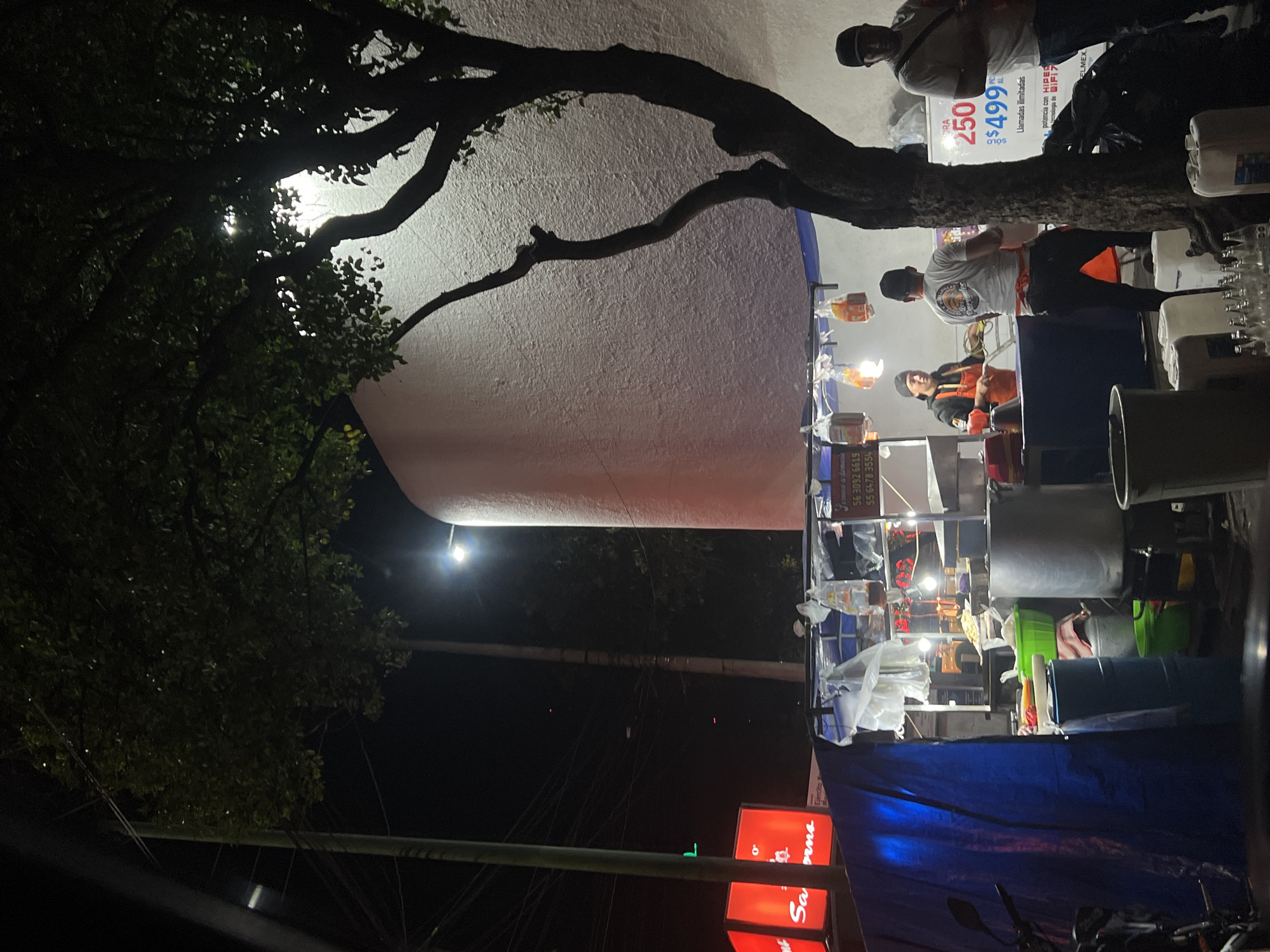 This nighttime shot depicts a food stall in Mexico City, Mexico, presumably at night. A large, cylindrical structure dominates the background, illuminated brightly. A tree's dark branches stretch across the top of the frame, partially obscuring the cylinder. Below the branches and to the right, people stand behind a makeshift food stall, where they appear to be working. There are cooking utensils and what may be food containers. The stall is illuminated by artificial lighting. In the foreground, a red sign with the word "Sabors" is visible. The environment appears urban, with street lighting and other signs indicating a bustling atmosphere.