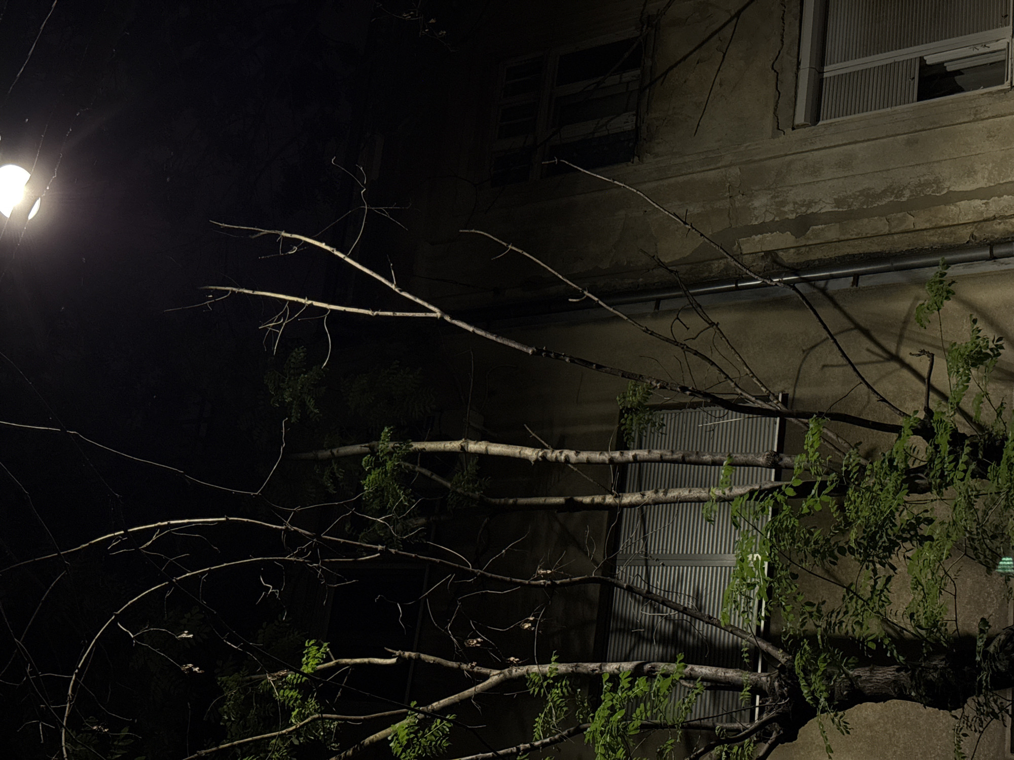 The image shows the exterior of a building at night in Belgrade, Serbia. A bright street light illuminates the left side of the scene. A tree with bare branches and some foliage partially obscures the facade of the building. The building has windows, some with blinds or shutters. The facade is textured and appears to be aged. The setting is urban, with a focus on the architectural and natural elements.
