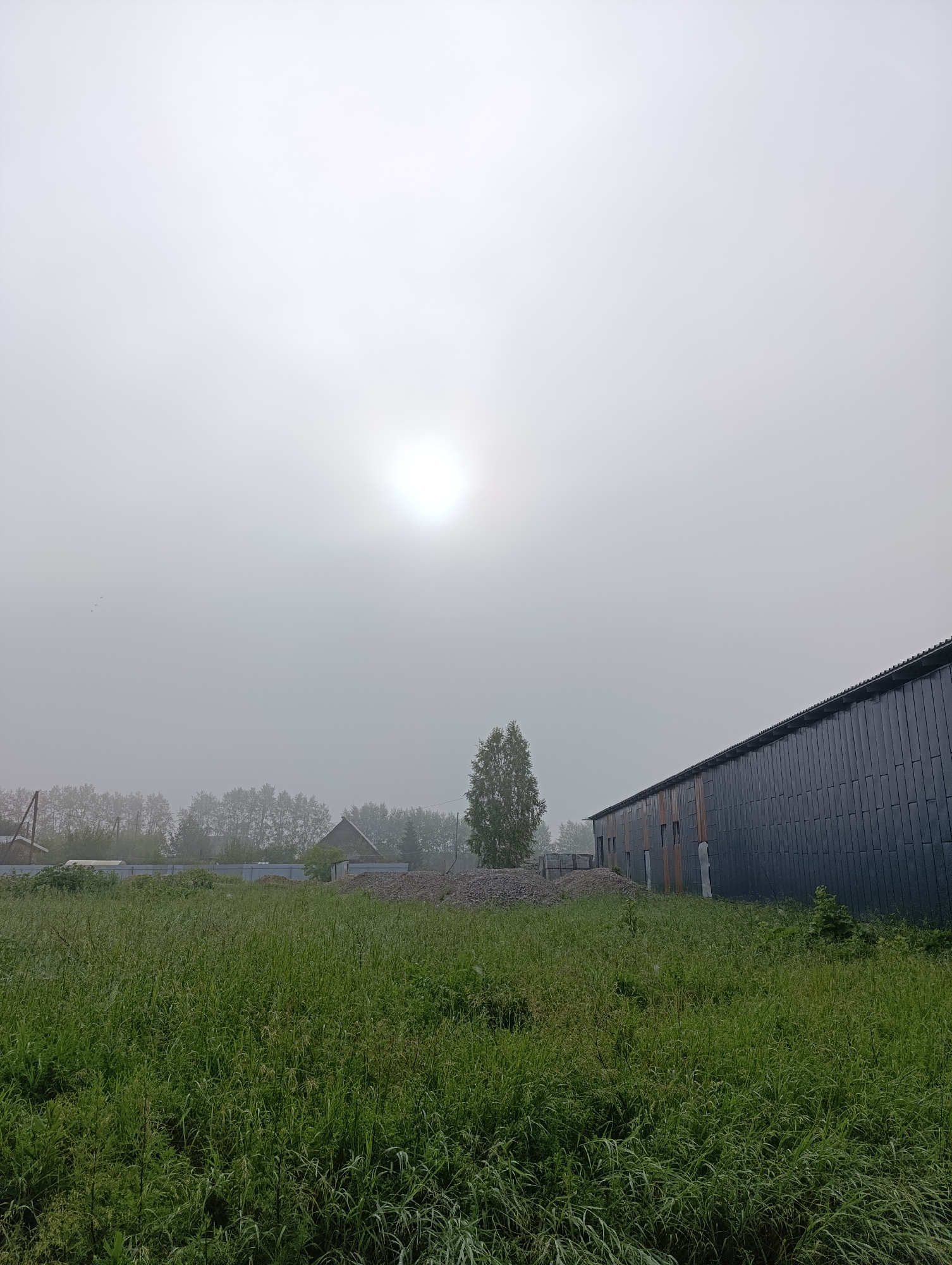 The image depicts a foggy rural landscape with a large, dark, corrugated metal building dominating the right side of the frame. The building appears to be a barn or industrial structure with a sloped roof and several windows. In the foreground, tall green grass covers the ground, with some scattered debris and piles of gravel visible near the building. In the background, a line of trees is partially obscured by the fog, and a few small houses can be seen. The sun is a bright, diffused circle in the upper center of the sky, indicating a foggy or overcast day. There are no people or animals visible in the image. The scene suggests an outdoor agricultural or industrial area in a rural setting, possibly in or around Tugulym, Russia, given the presence of a typical structure for such locations.