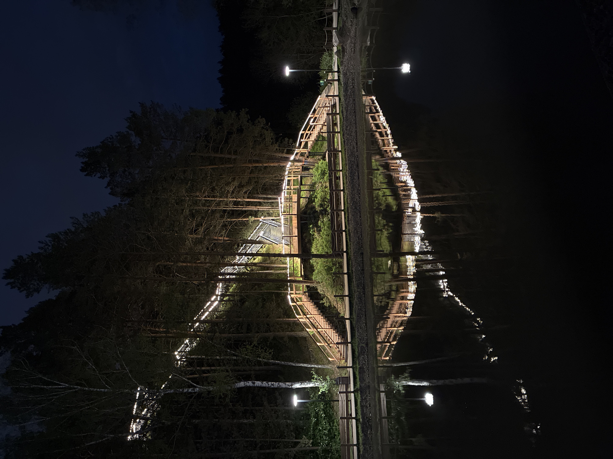 At night, a body of water reflects the upside-down image of a walkway and surrounding trees. The walkway is illuminated by string lights along its railings and street lights spaced evenly along its path. The trees are predominantly dark, with some branches and foliage visible against the night sky. The water surface is mostly dark with ripples distorting the reflected lights. The exact location is undetermined.