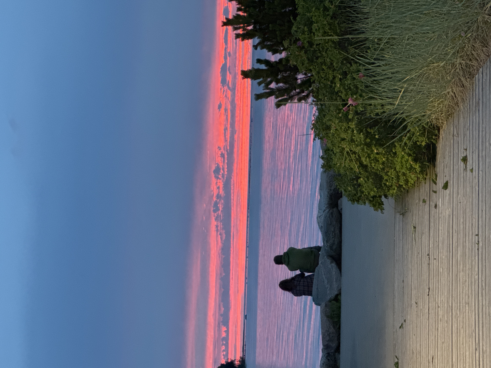 The image depicts a serene natural scene at dusk. Two individuals are seated on rocks facing a body of water, appearing to be a bay or ocean, with a striking sunset painting the sky with vibrant pink and orange hues. The water reflects these colors, creating a shimmering effect. To the right of the water, there is lush green vegetation, including trees and tall grasses, bordering a wooden boardwalk. The overall atmosphere is peaceful and contemplative, suggesting the individuals are enjoying the beautiful sunset. The time of day is clearly evening, indicated by the sunset and the soft, diffused light. The location context provided places this scene in Tallinn, Estonia, which aligns with coastal views often seen in the region. There is no visible text in the image.