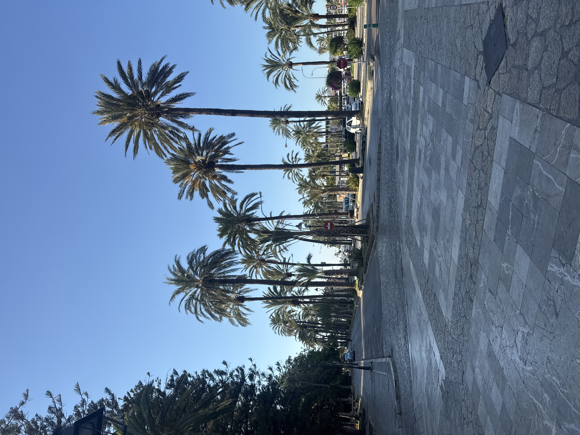 The image depicts a street scene in Palma de Mallorca, Spain, characterized by a wide avenue lined with numerous tall palm trees on both sides. The foreground features a pedestrian area paved with large, grey stone tiles arranged in a geometric pattern, interspersed with smaller, irregularly shaped stones. A dark, square manhole cover is visible in the lower right portion of the paved area. The street itself is asphalt, with cars parked and driving on it. Several vehicles, including a white car, a silver car, and other indistinct vehicles, are visible. A few individuals are present, including one person walking on the street and another in the distance. Traffic signs, including a red circular "STOP" sign and a speed limit sign of "50", are visible. The environment suggests a sunny day with a clear blue sky. The presence of palm trees and the architectural style of the paving are characteristic of the Mediterranean climate and urban design found in coastal Spanish cities like Palma. The overall impression is a well-maintained, urban thoroughfare under a bright sky.