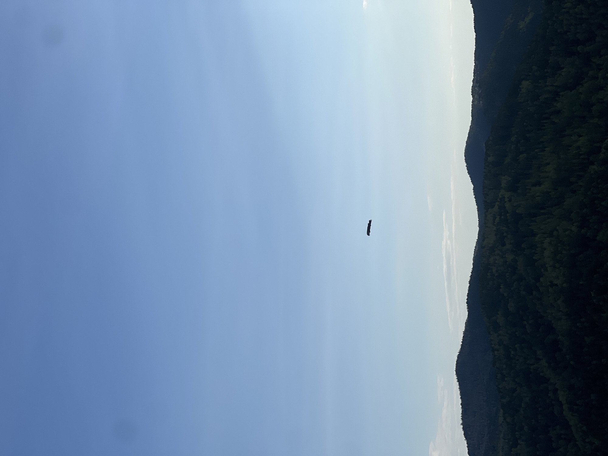 The image shows a landscape with a clear, blue sky taking up most of the frame. In the lower right portion of the image, a heavily wooded mountain range is visible, its trees appearing dark green. An indeterminate dark object is visible floating in the sky above the mountain. The absence of specific identifying markers in the visible portion of the landscape makes it impossible to determine if this image was taken in the city of Krasnoyarsk, Russia, or to determine the location.
